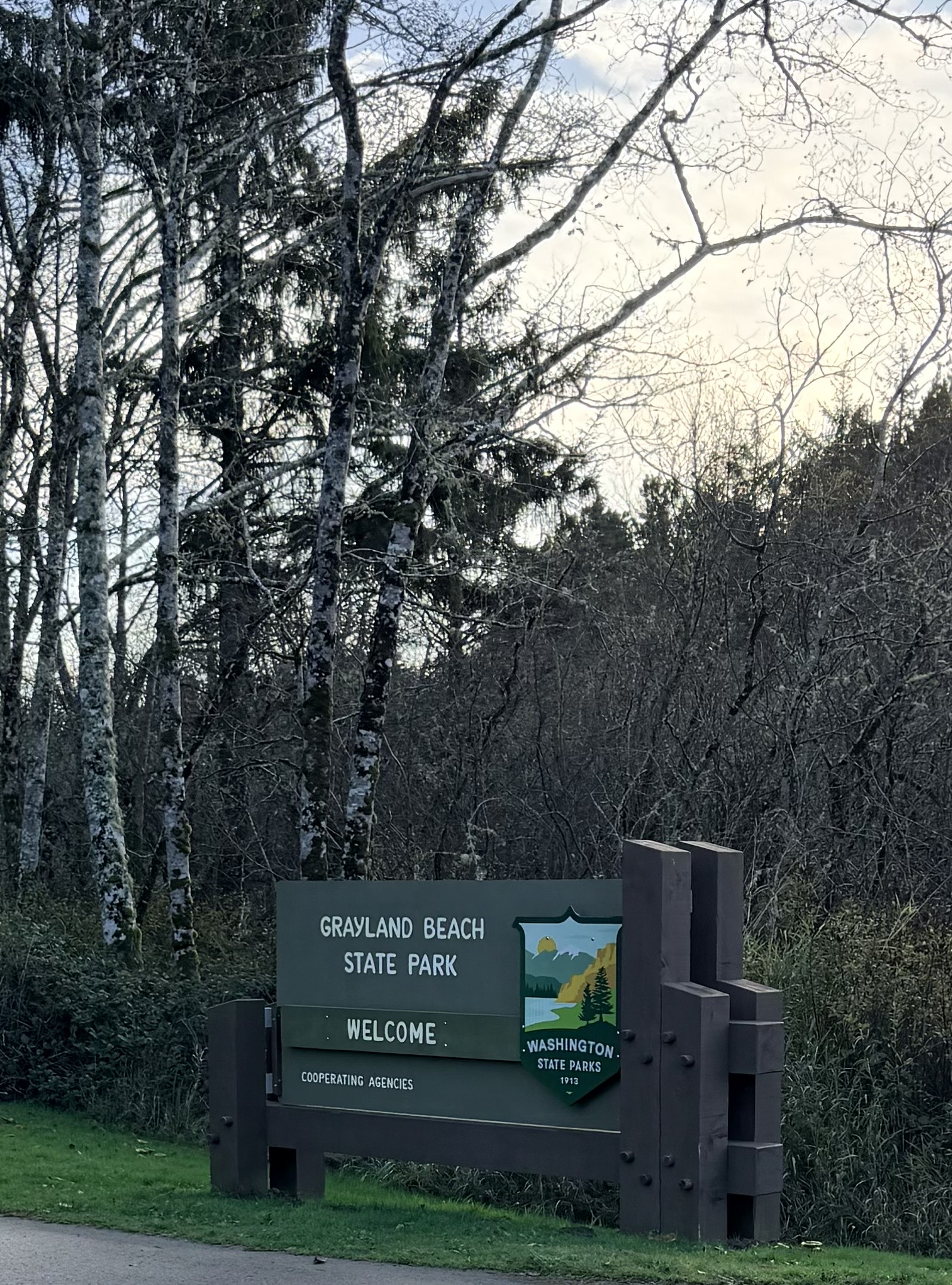 Grayland State Park Fall Photo Bundle (5 Natural Images) 1