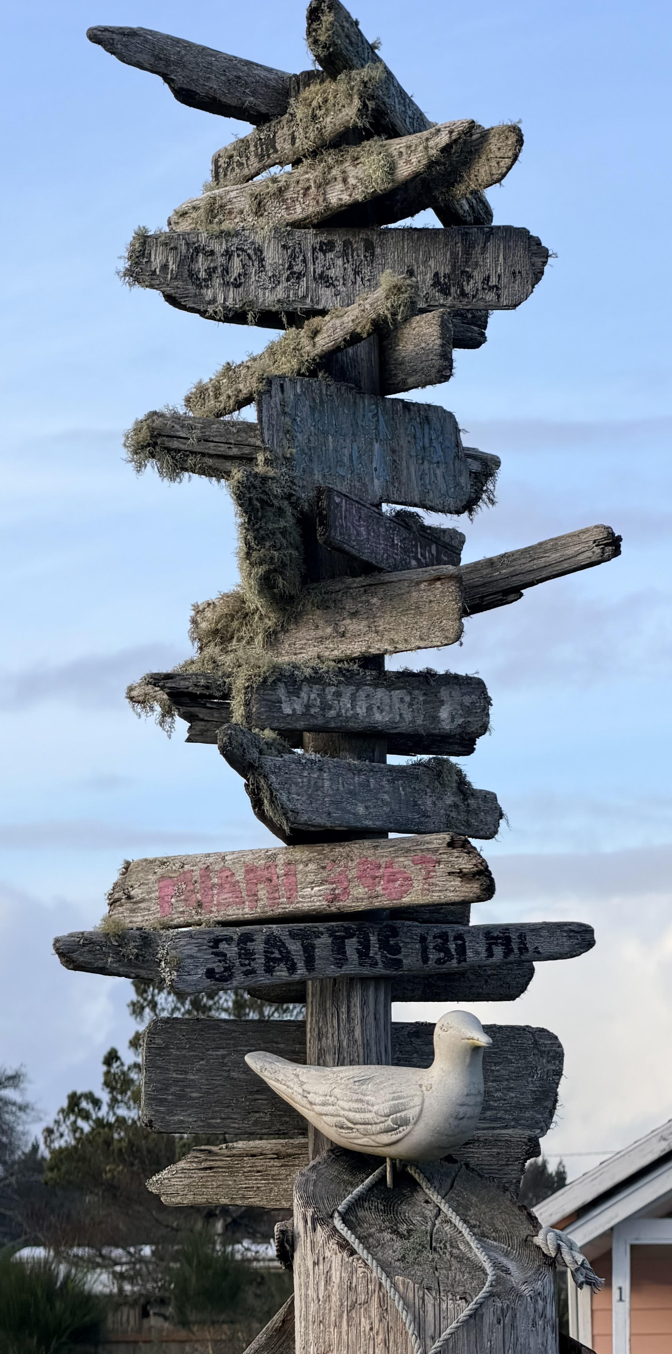 Grayland State Park Fall Photo Bundle (5 Natural Images) 1