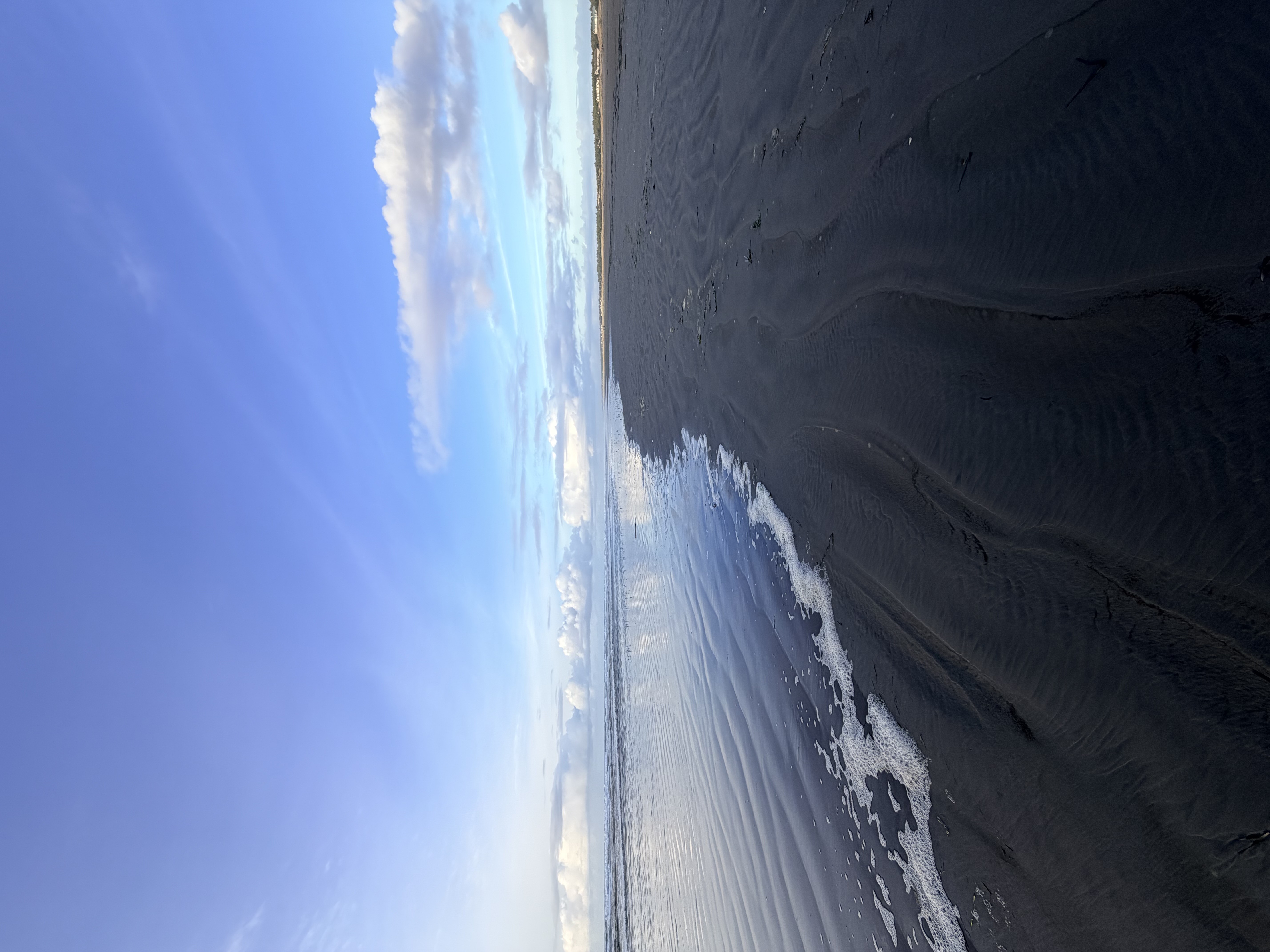 Grayland State Park Fall Photo Bundle (5 Natural Images) 1