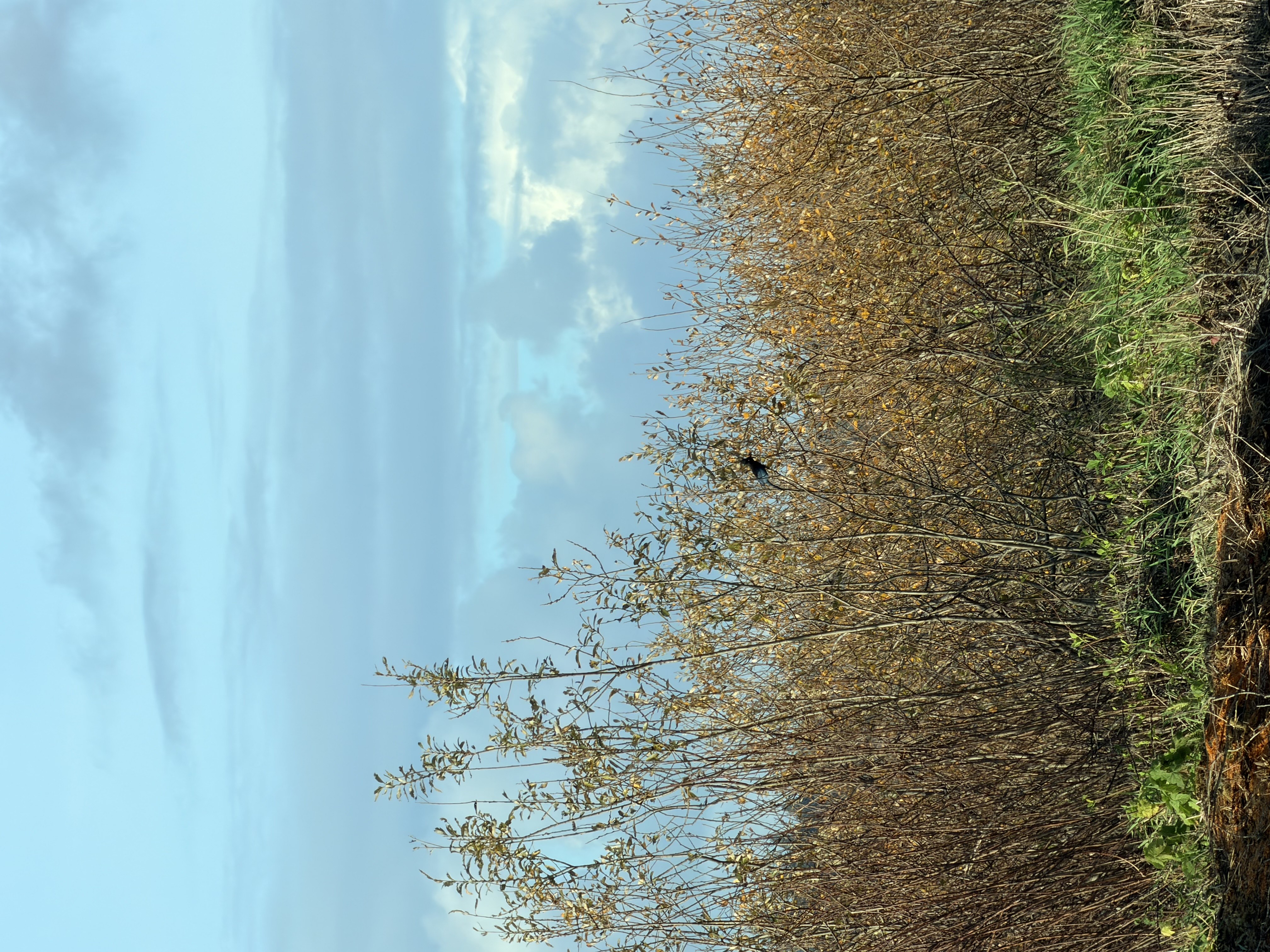 Tokeland, Washington Photo Bundle (5 Natural Images)