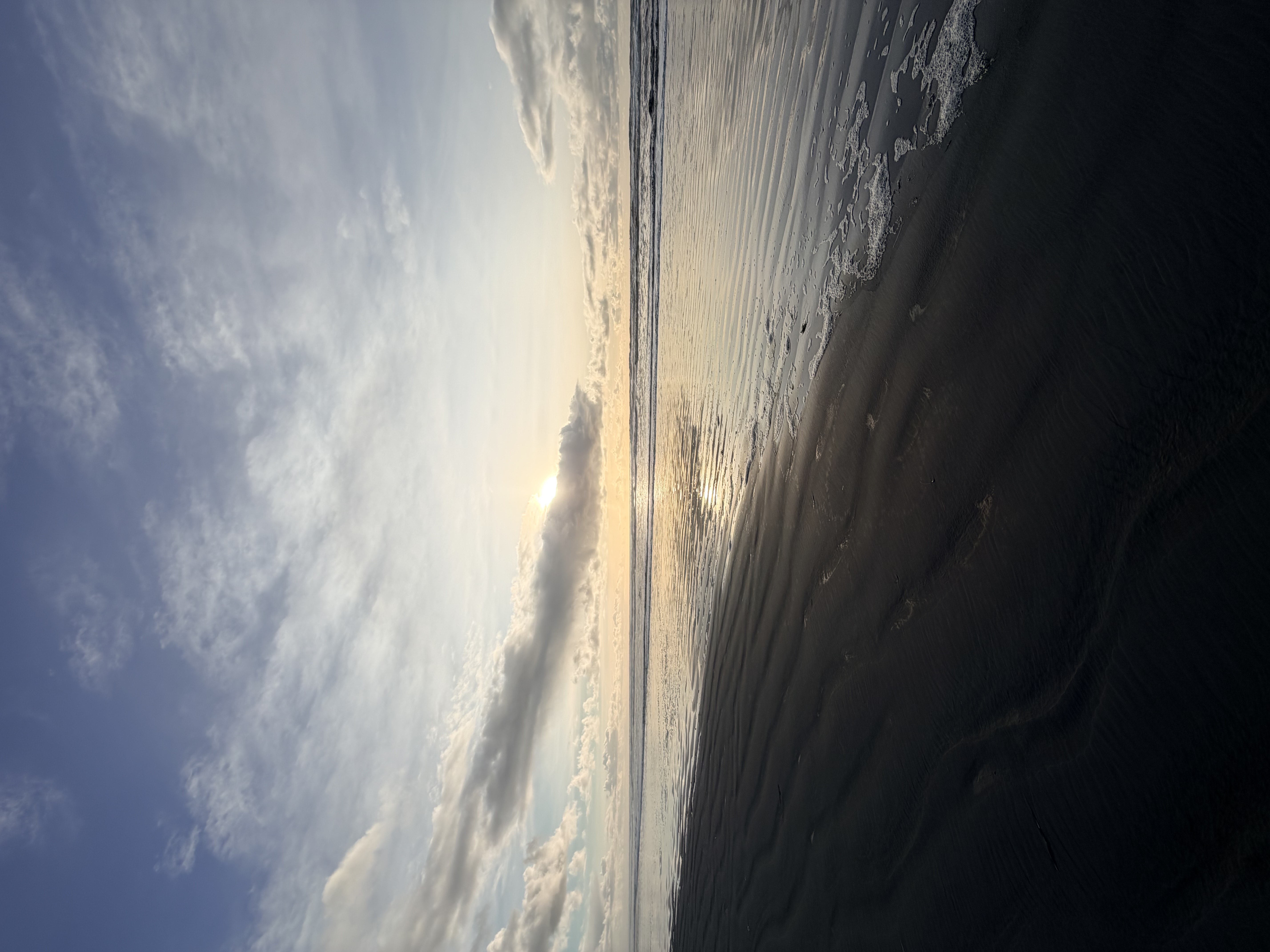 Grayland State Park Fall Photo Bundle (5 Natural Images)