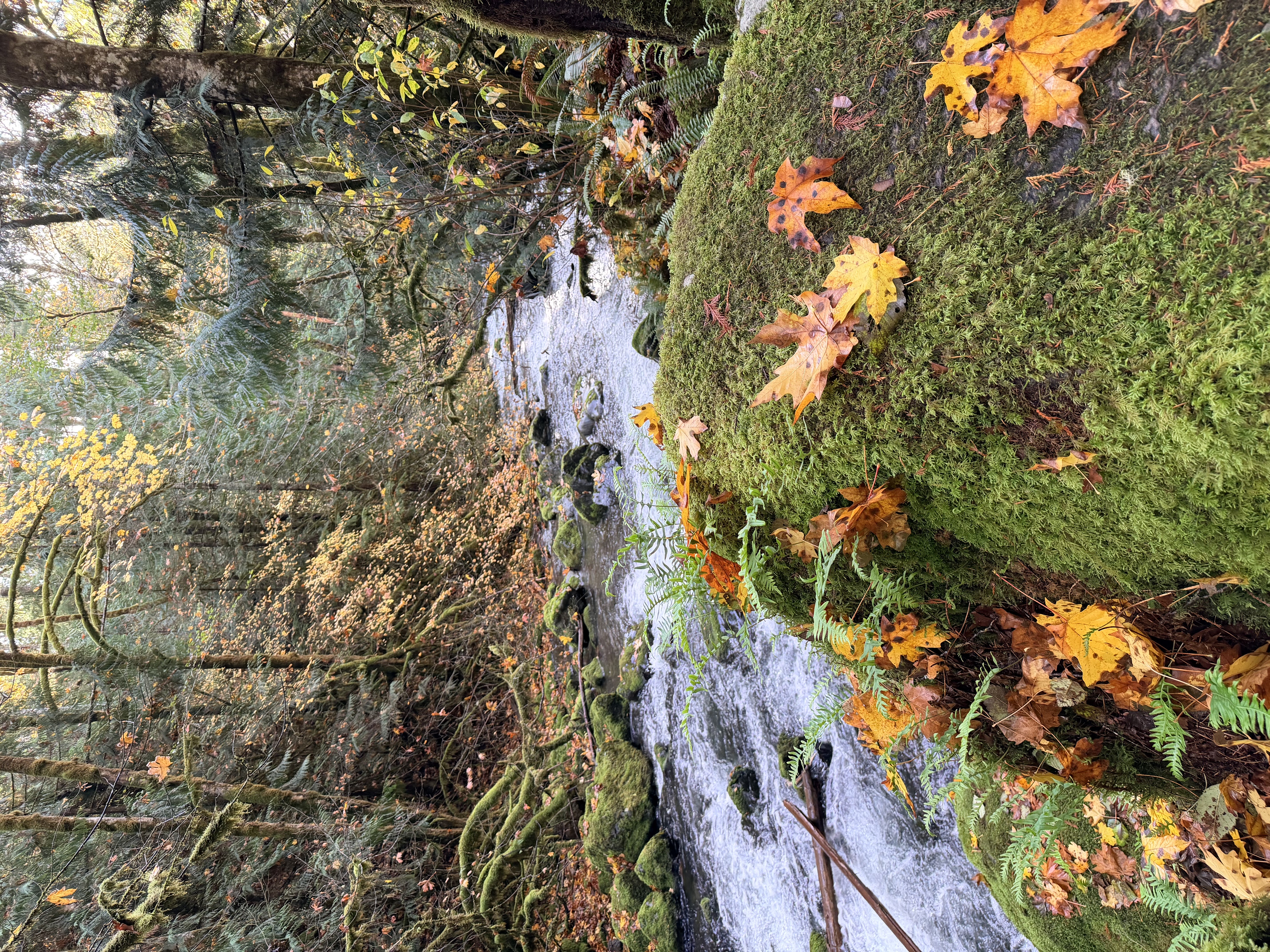 Rocky Brook Falls Photo Bundle (5 Natural Images)