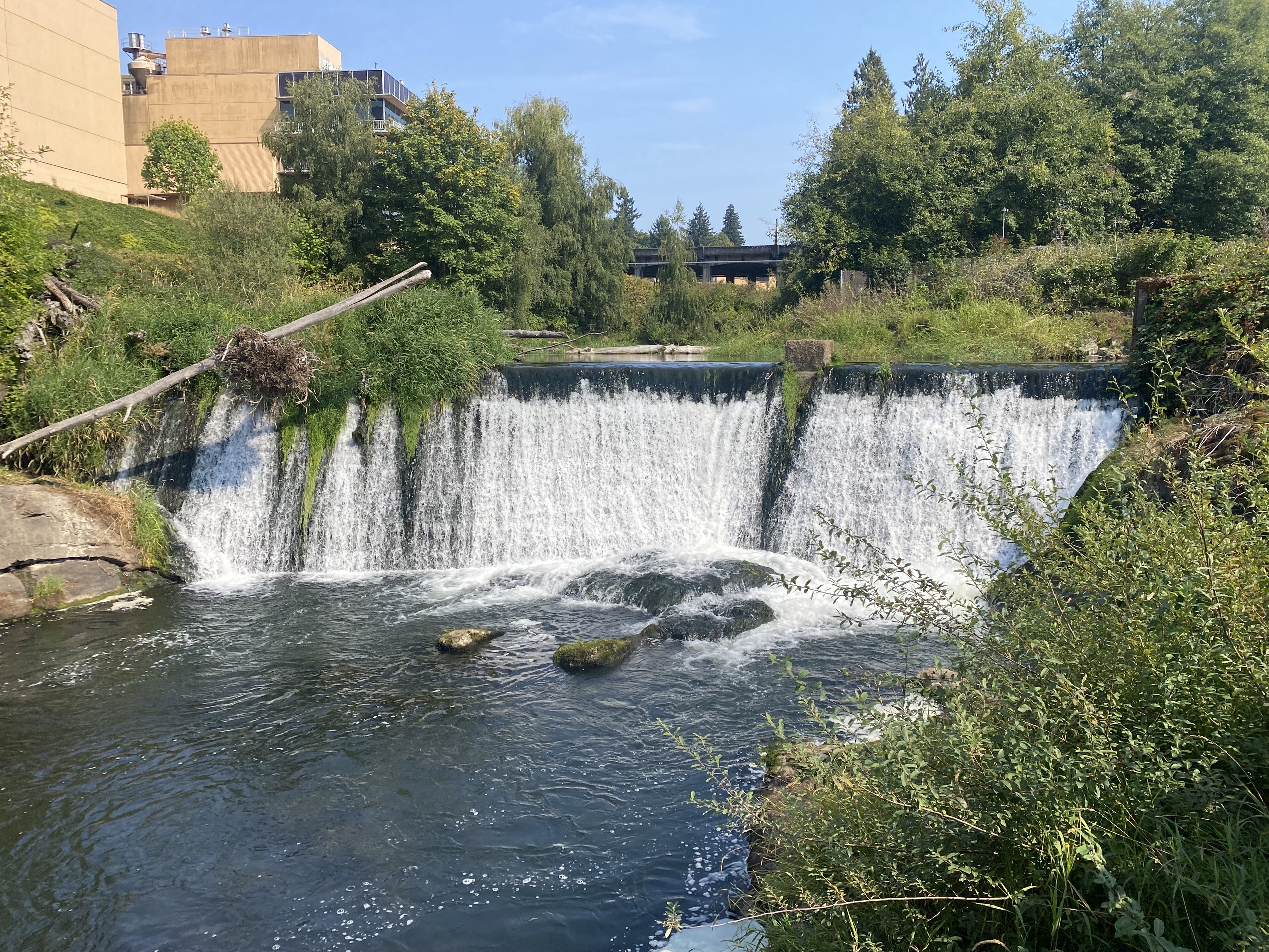 Tumwater Falls Photo Bundle — Scenic Falls, River & Park Details (5 Images) 2