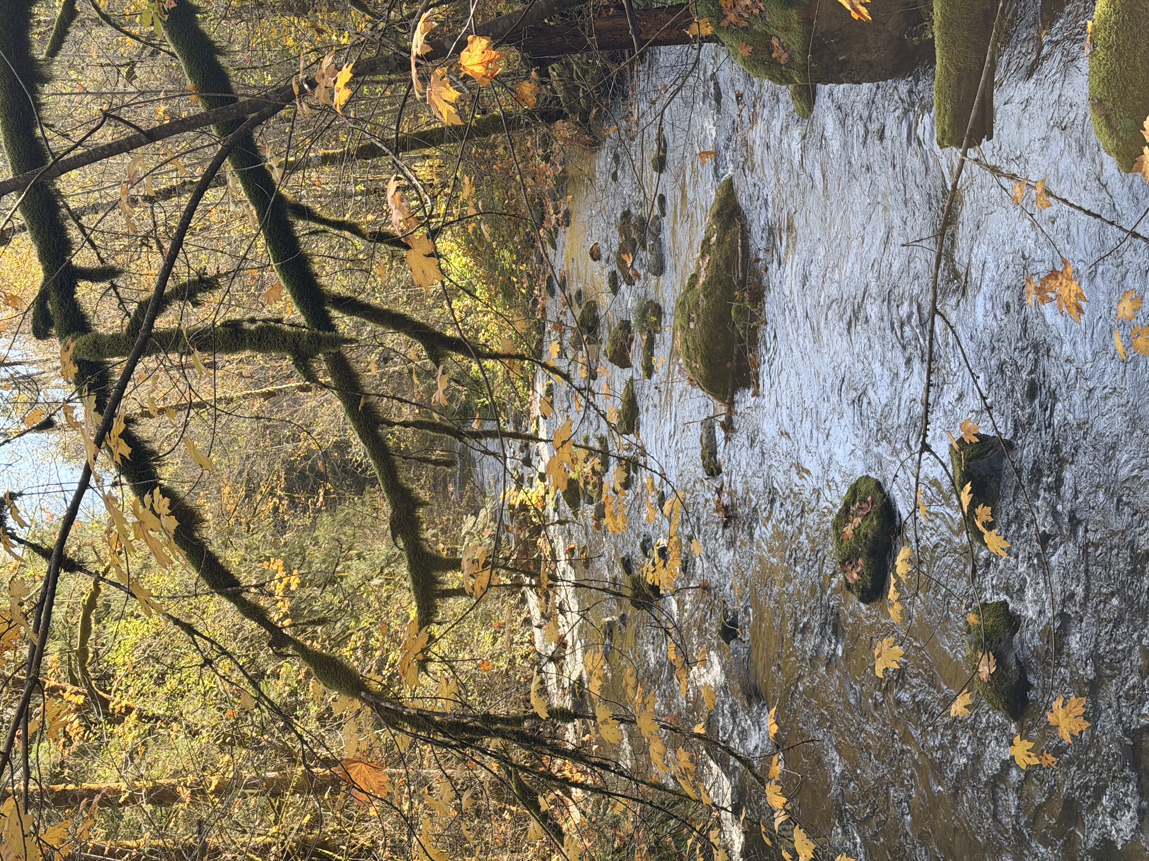 Rocky Brook Falls Photo Bundle (5 Natural Images) 2