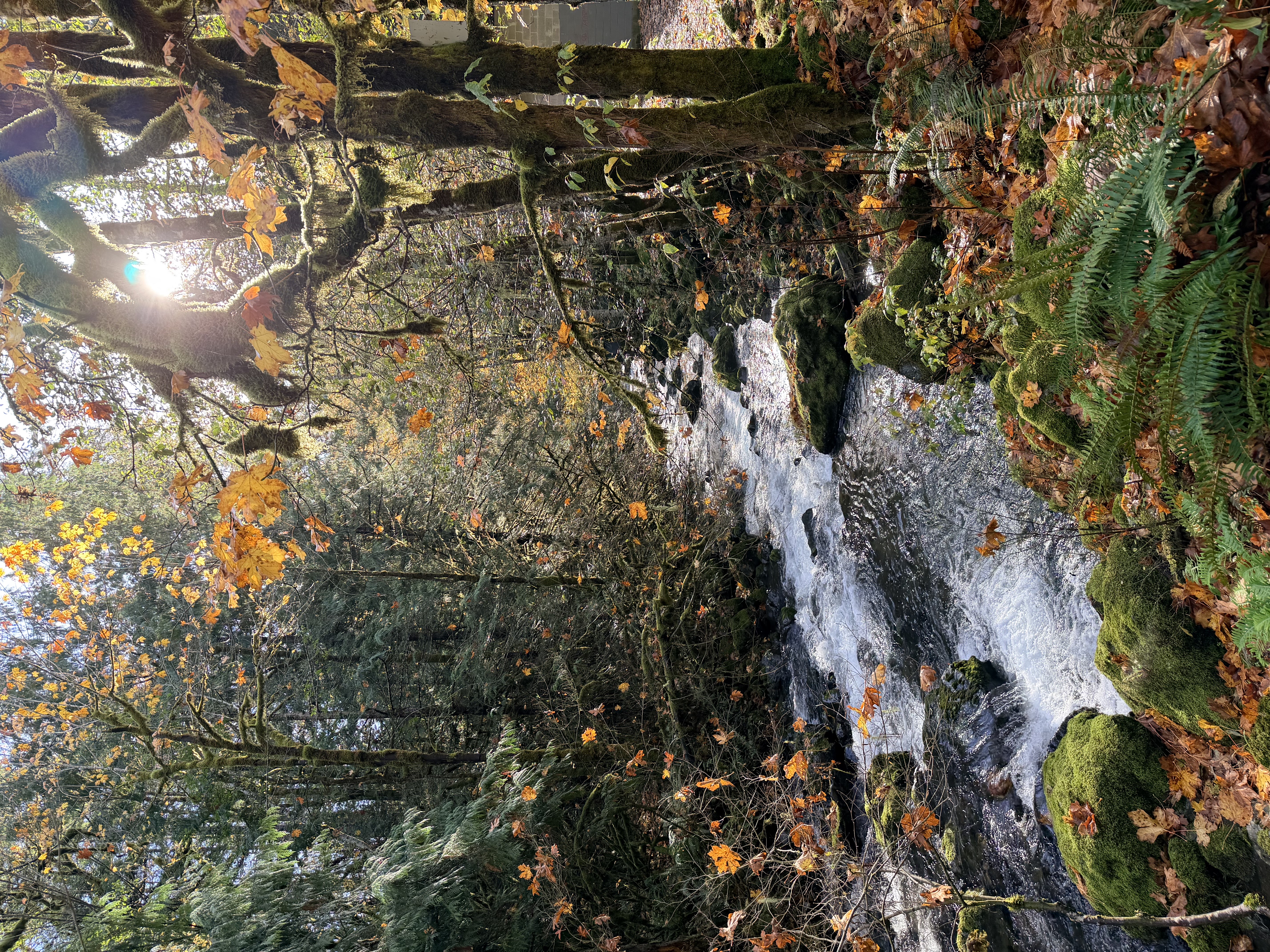 Rocky Brook Falls Photo Bundle (5 Natural Images) 2