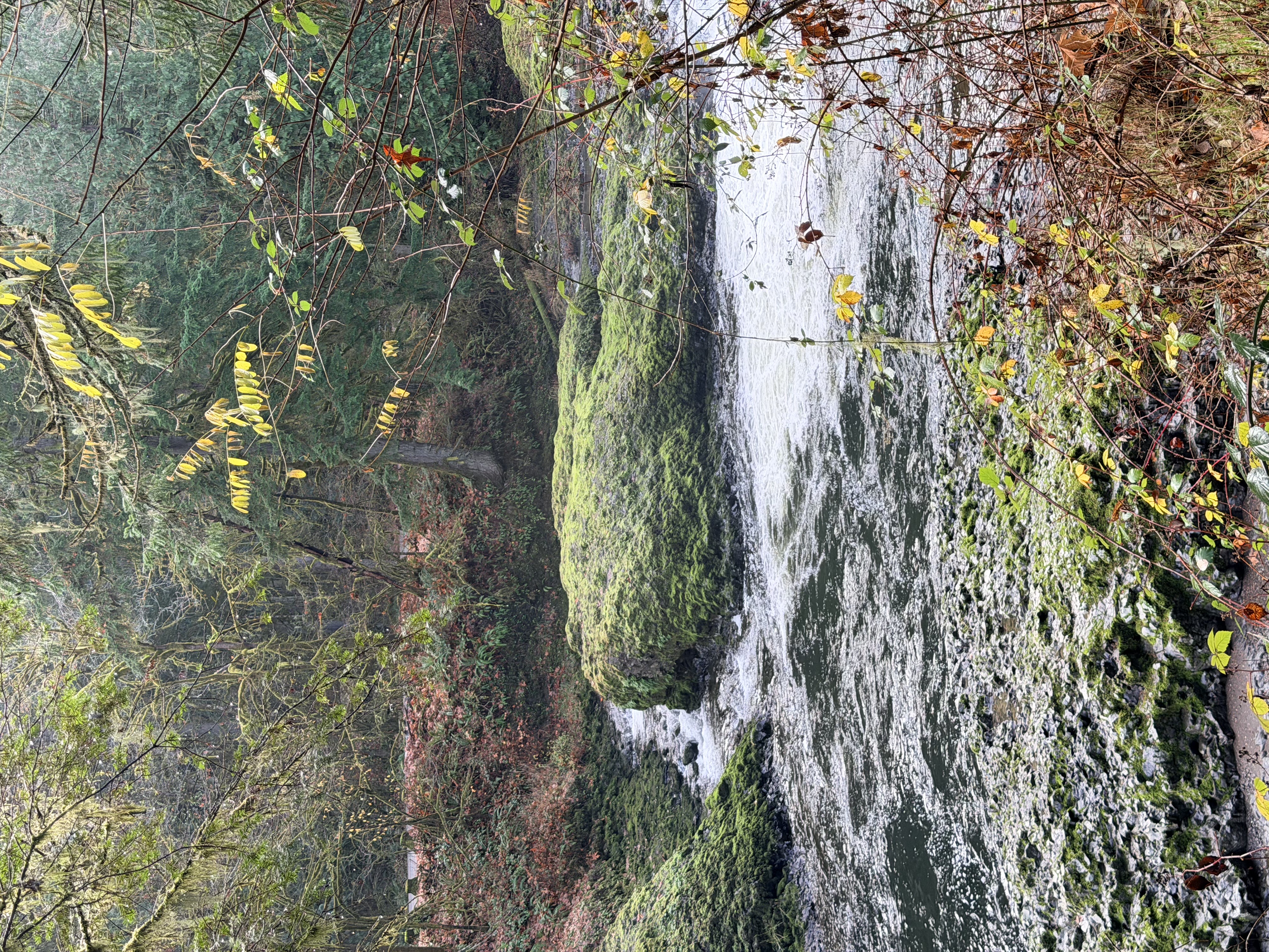 Rainbow Falls State Park Photo Bundle (5 Natural Images)