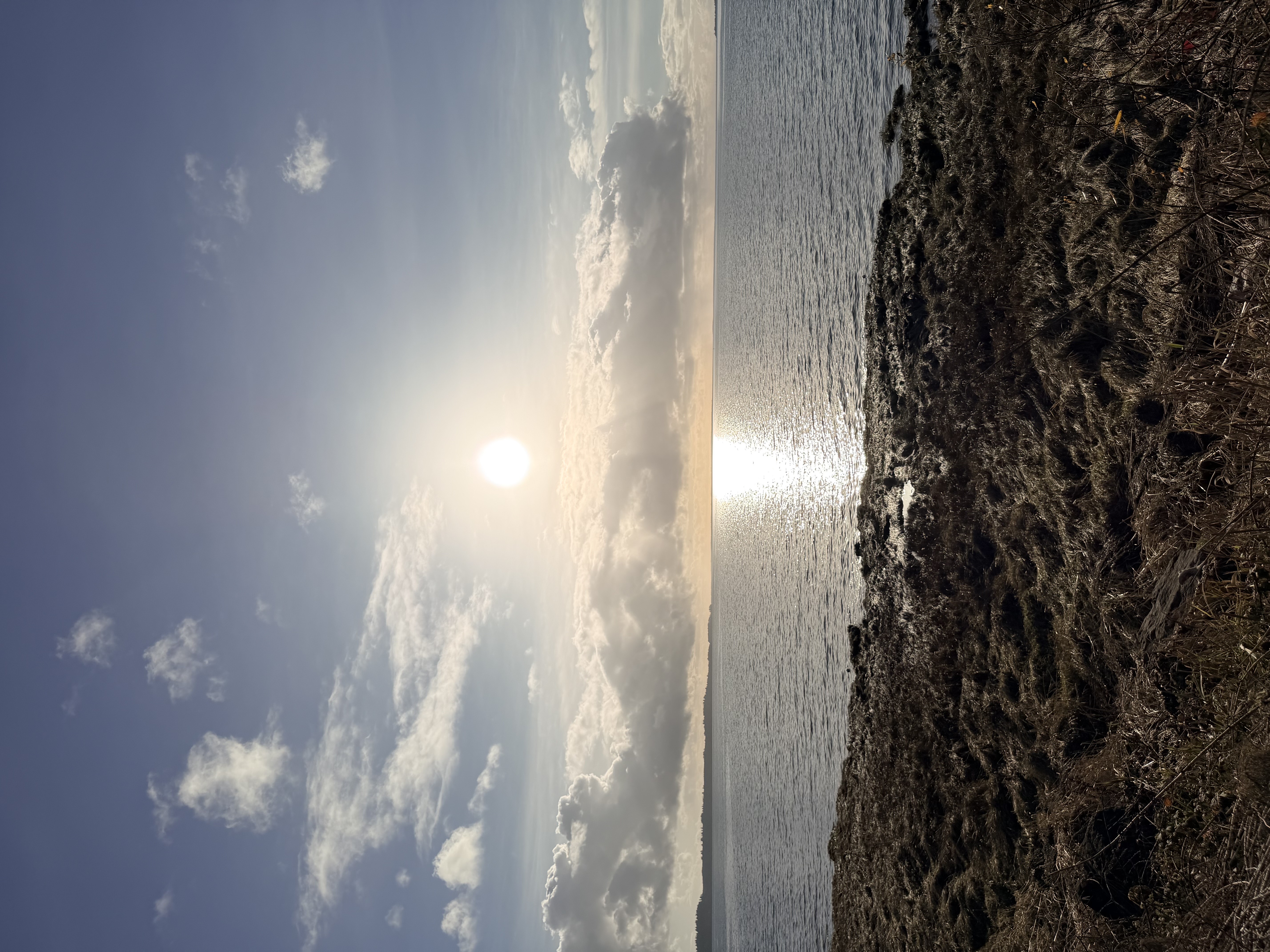 Tokeland, Washington Photo Bundle (5 Natural Images)