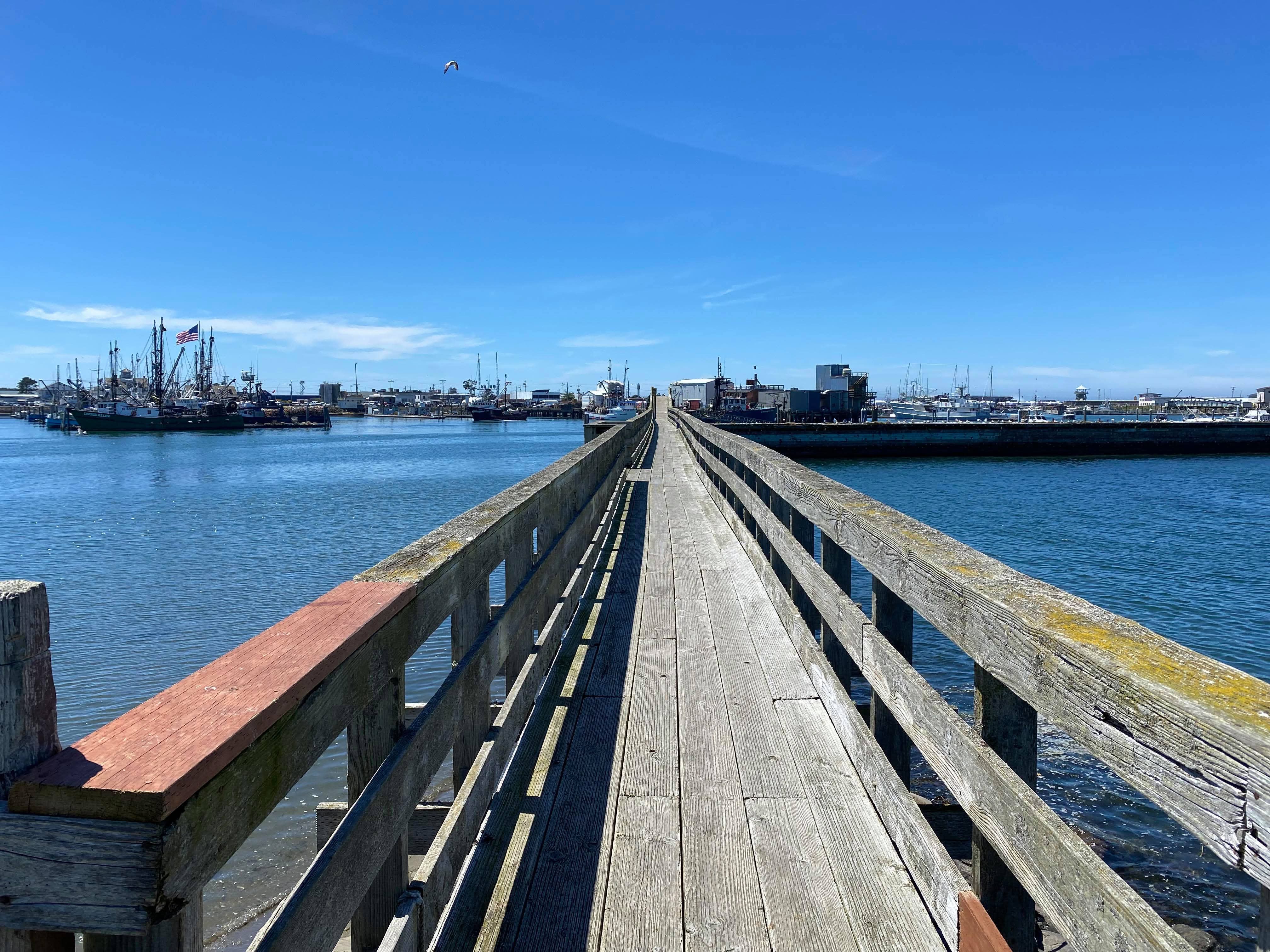 Westport, Washington Photo Bundle (5 Natural Images)