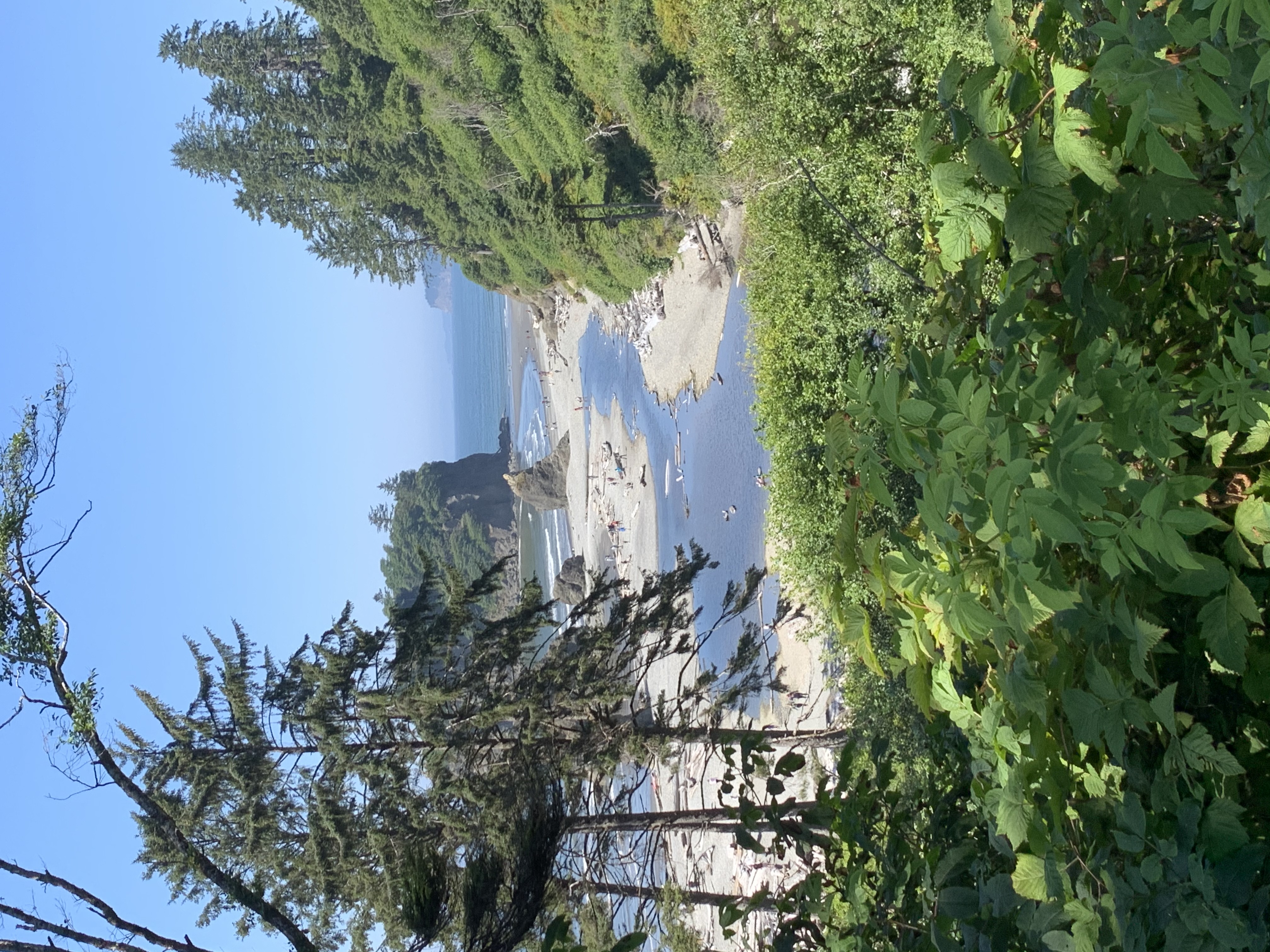Ruby Beach, Washington Photo Bundle (5 Natural Images) 1