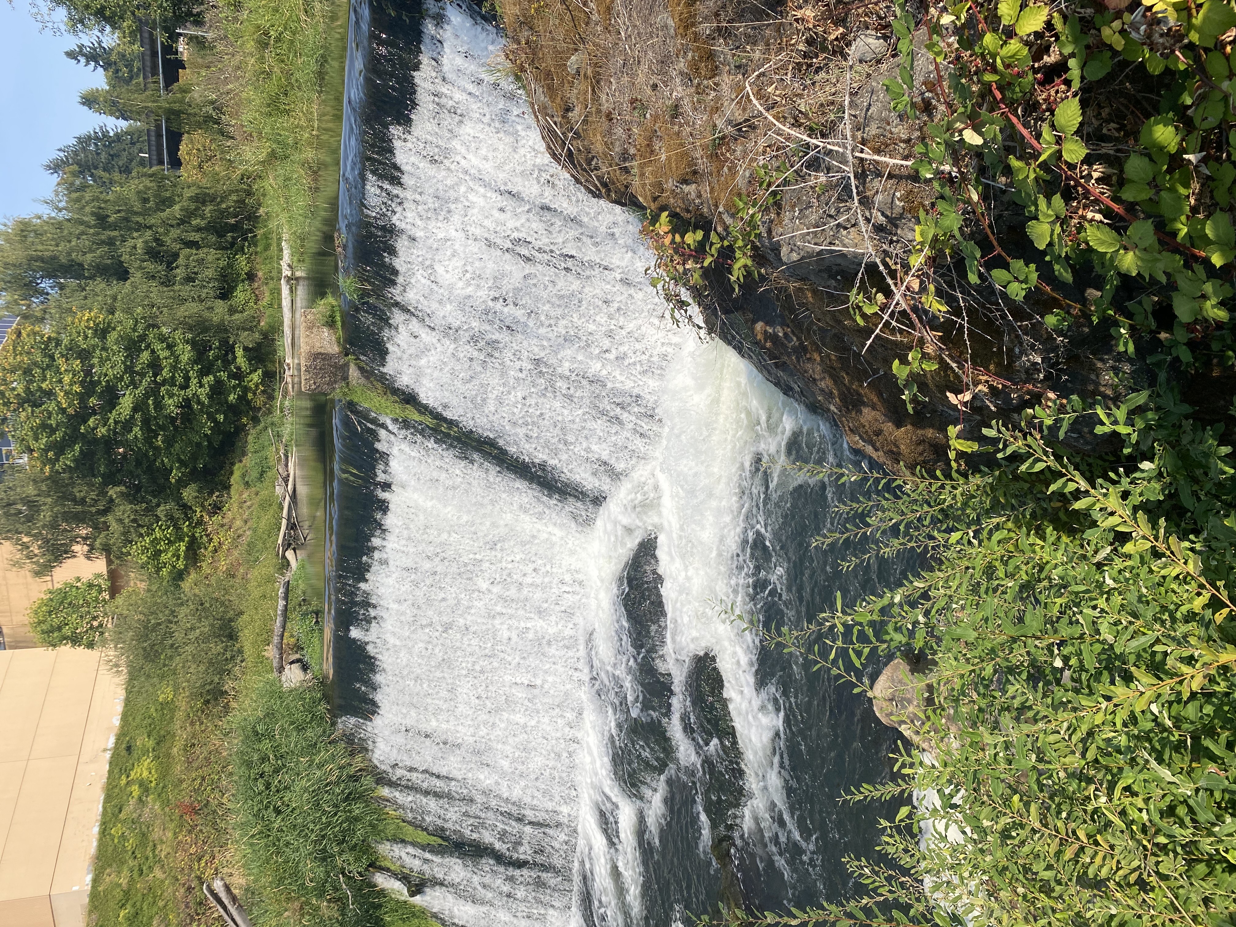 Tumwater Falls, Washington — 5-Photo Nature Set