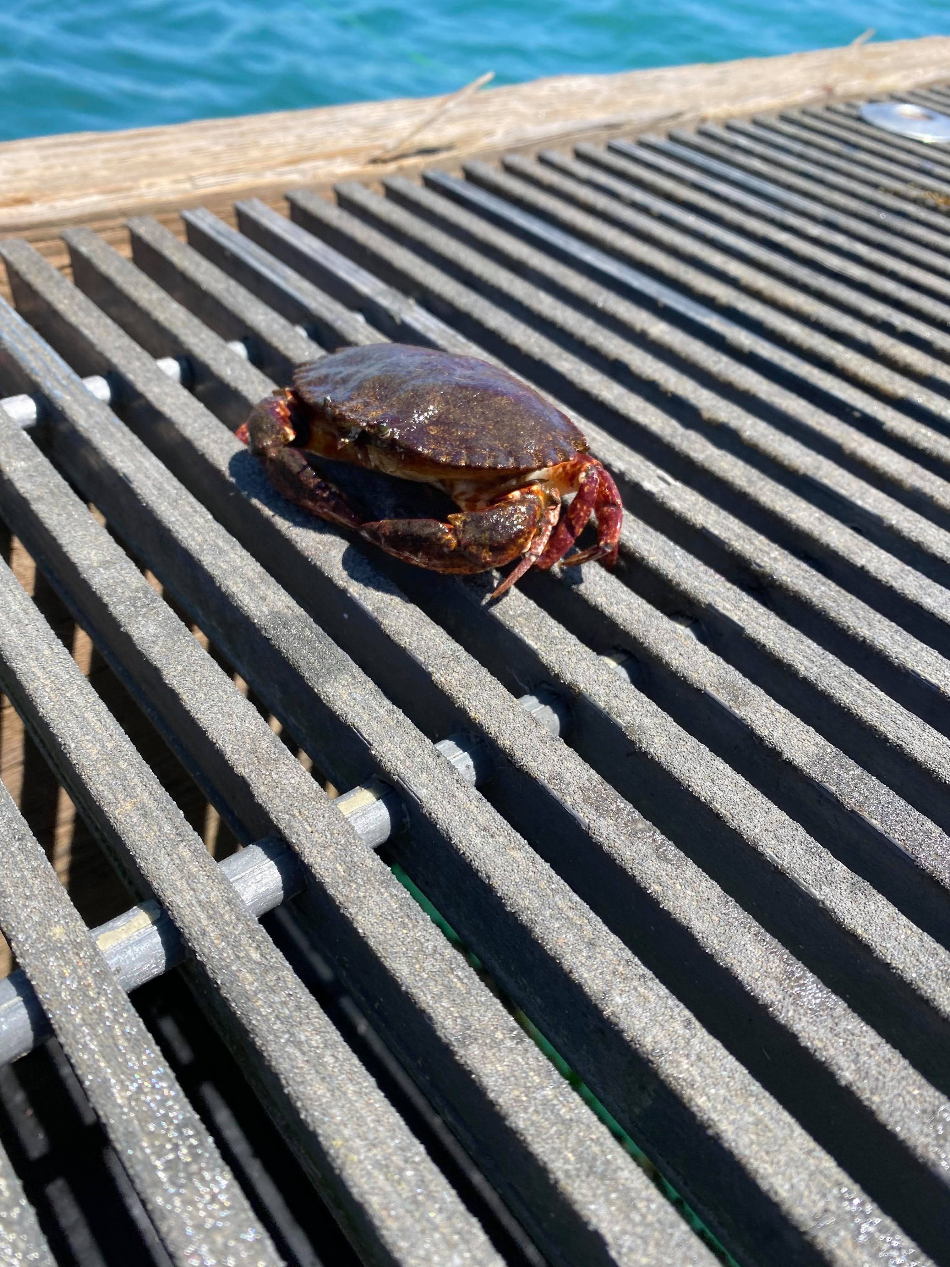 Tokeland, Washington Photo Bundle (5 Natural Images)