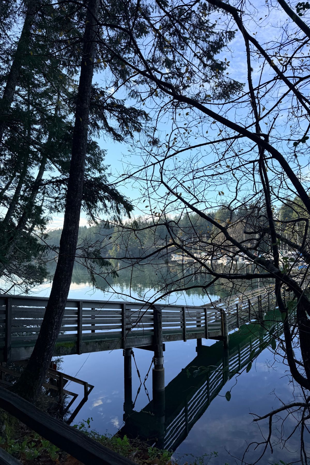 Harstine Island & Jarrell Cove Photo Bundle – 5 Pack 