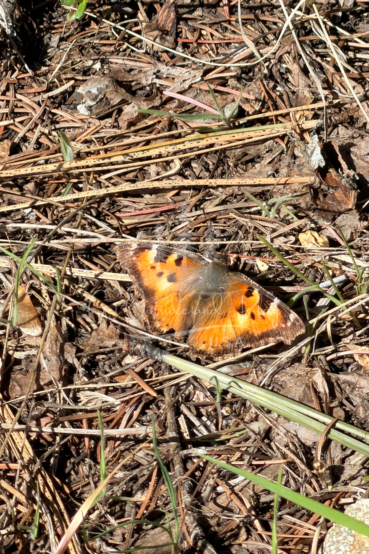 Blewett Arrastra Site, Highway 97 – 3-Pack Photo Bundle