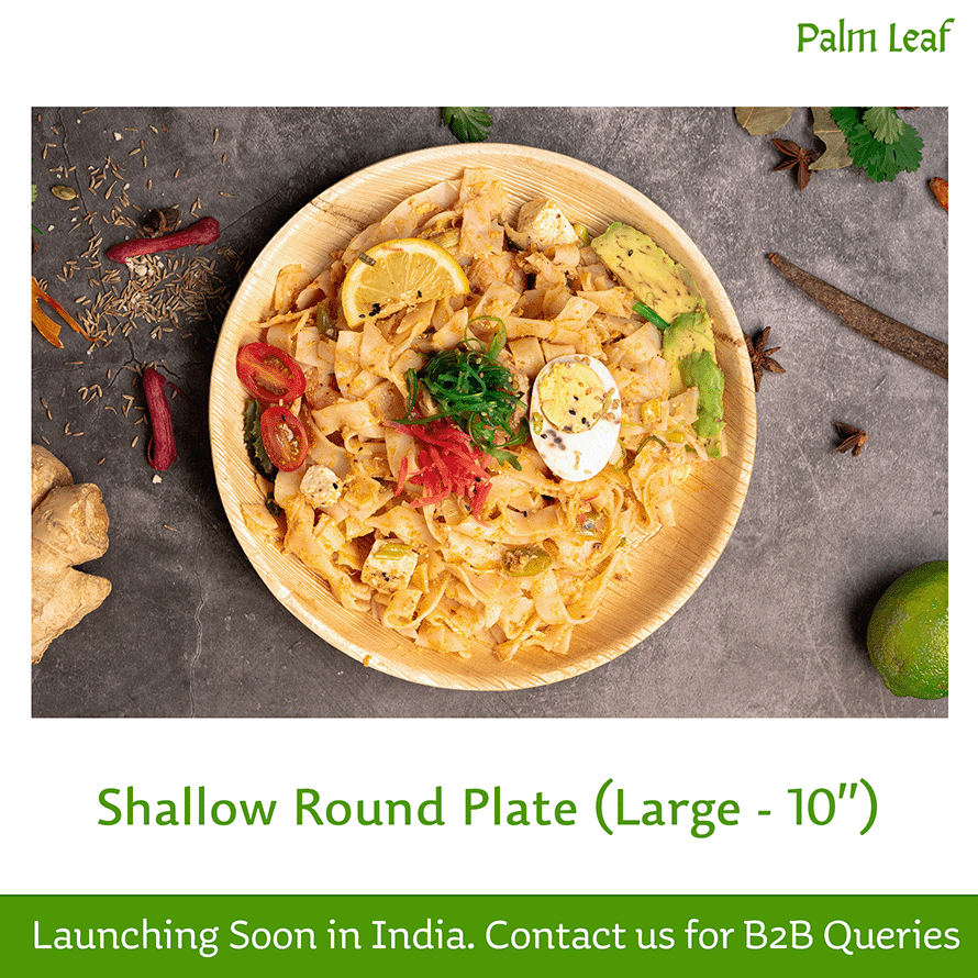 Shallow Round Plate (Large - 10")