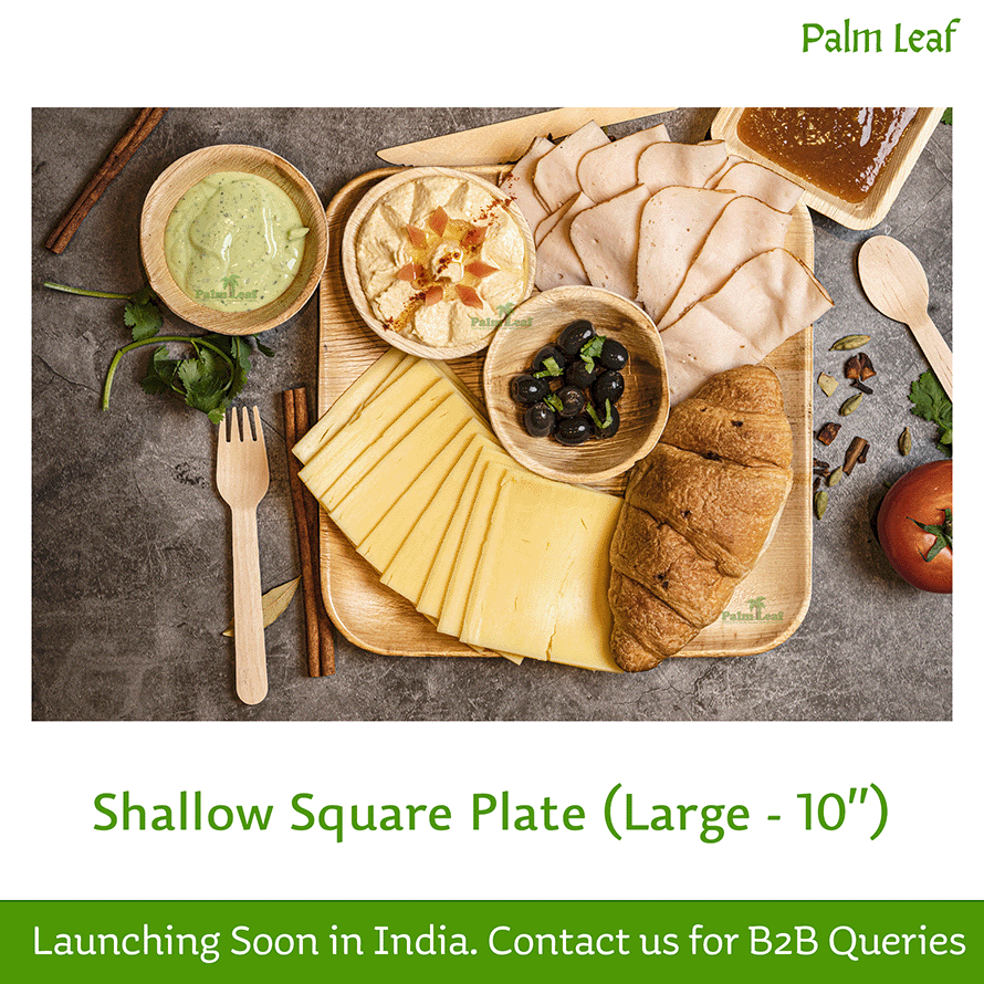Shallow Square Plate (Large - 10")