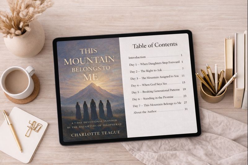 This Mountain Belongs To Me