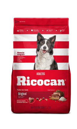 Ricocan Adult Dog Food