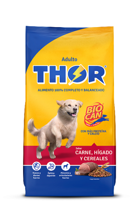 THOR Adult Dog Food