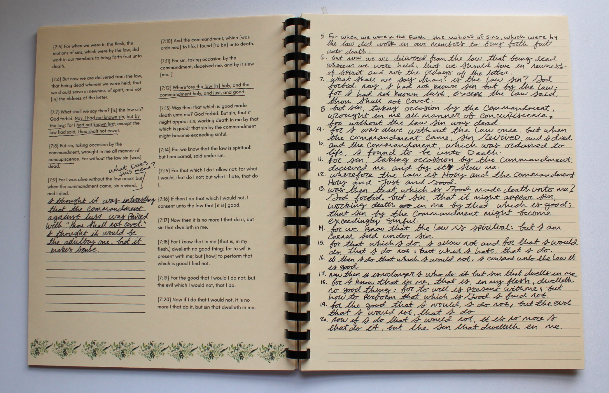 Romans - My Copying Version 