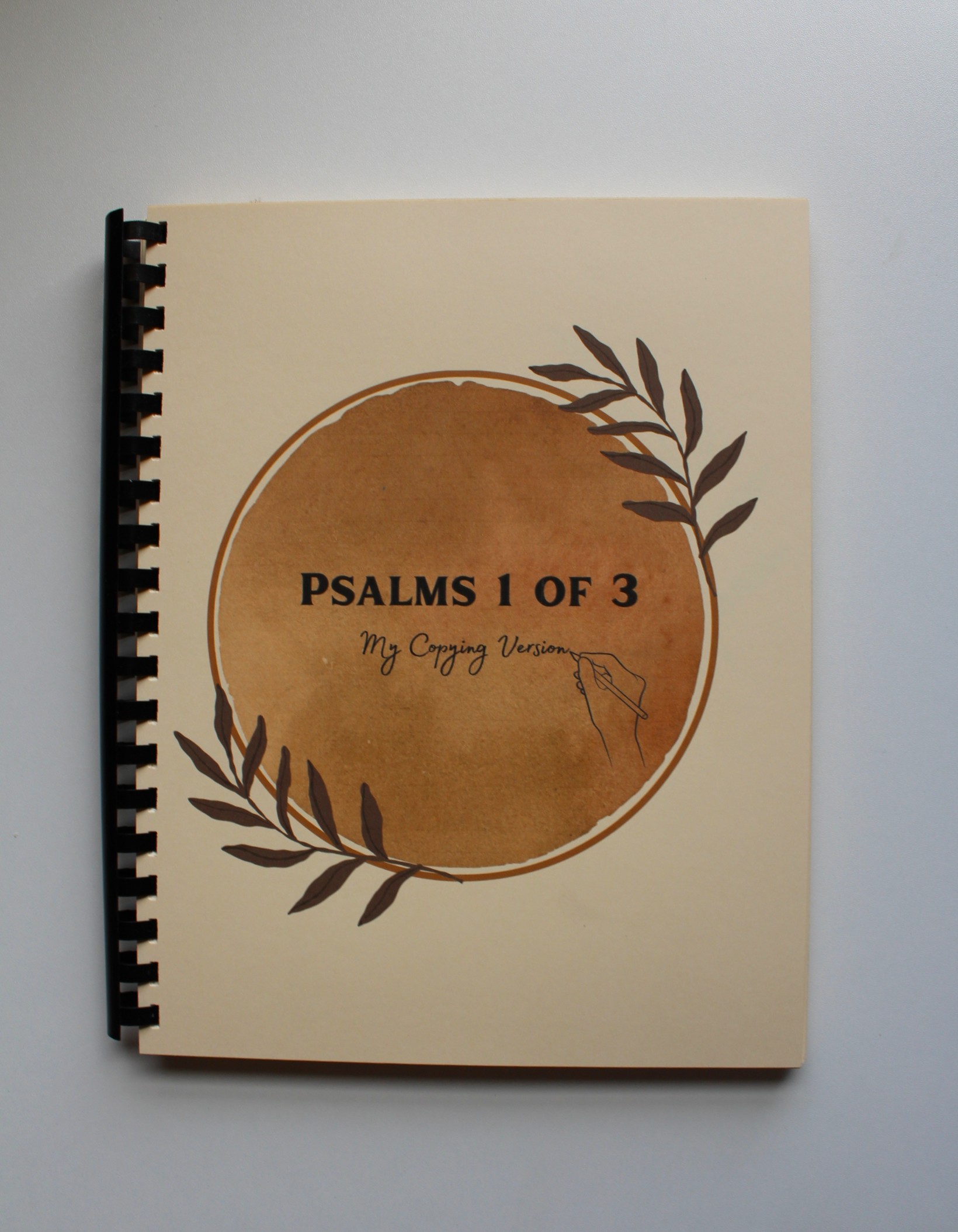 Psalms (3 books) - My Copying Version