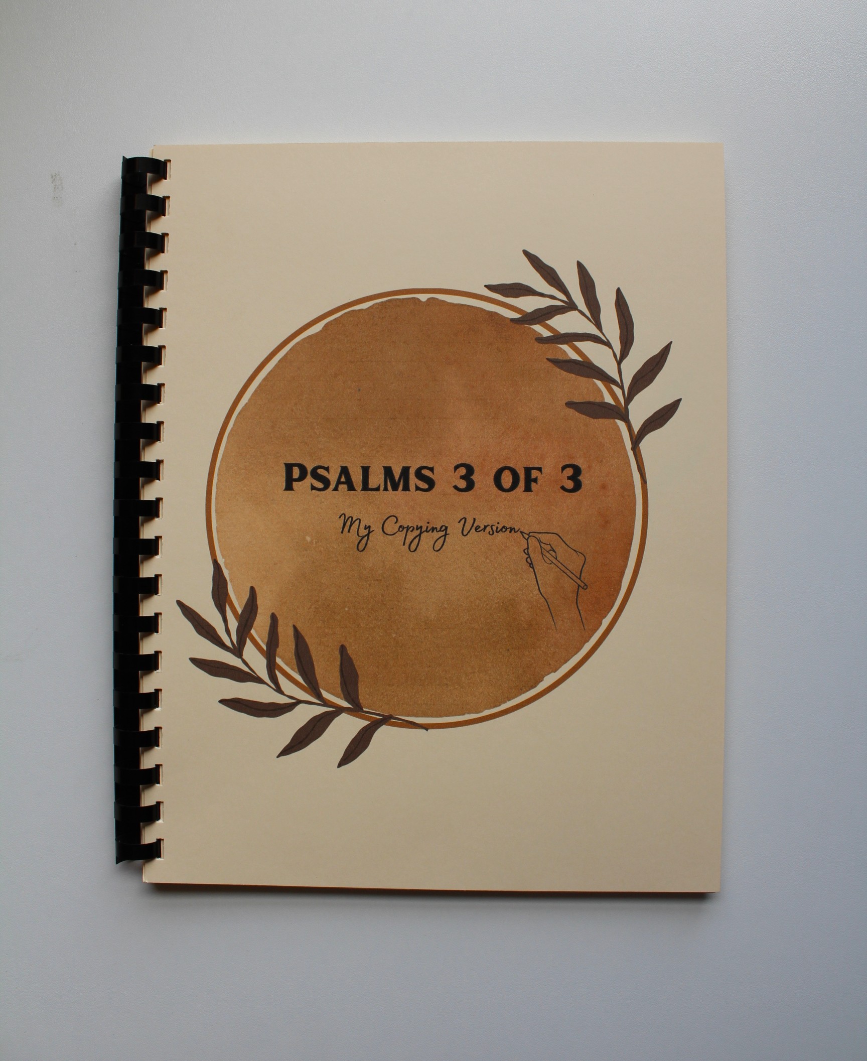 Psalms (3 books) - My Copying Version