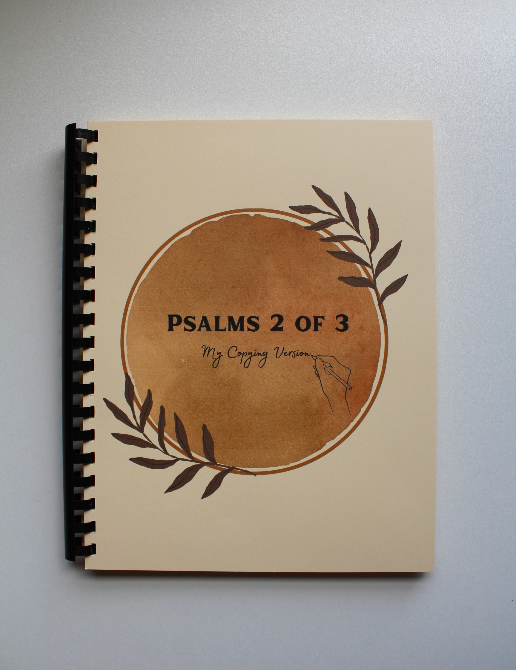 Psalms (3 books) - My Copying Version