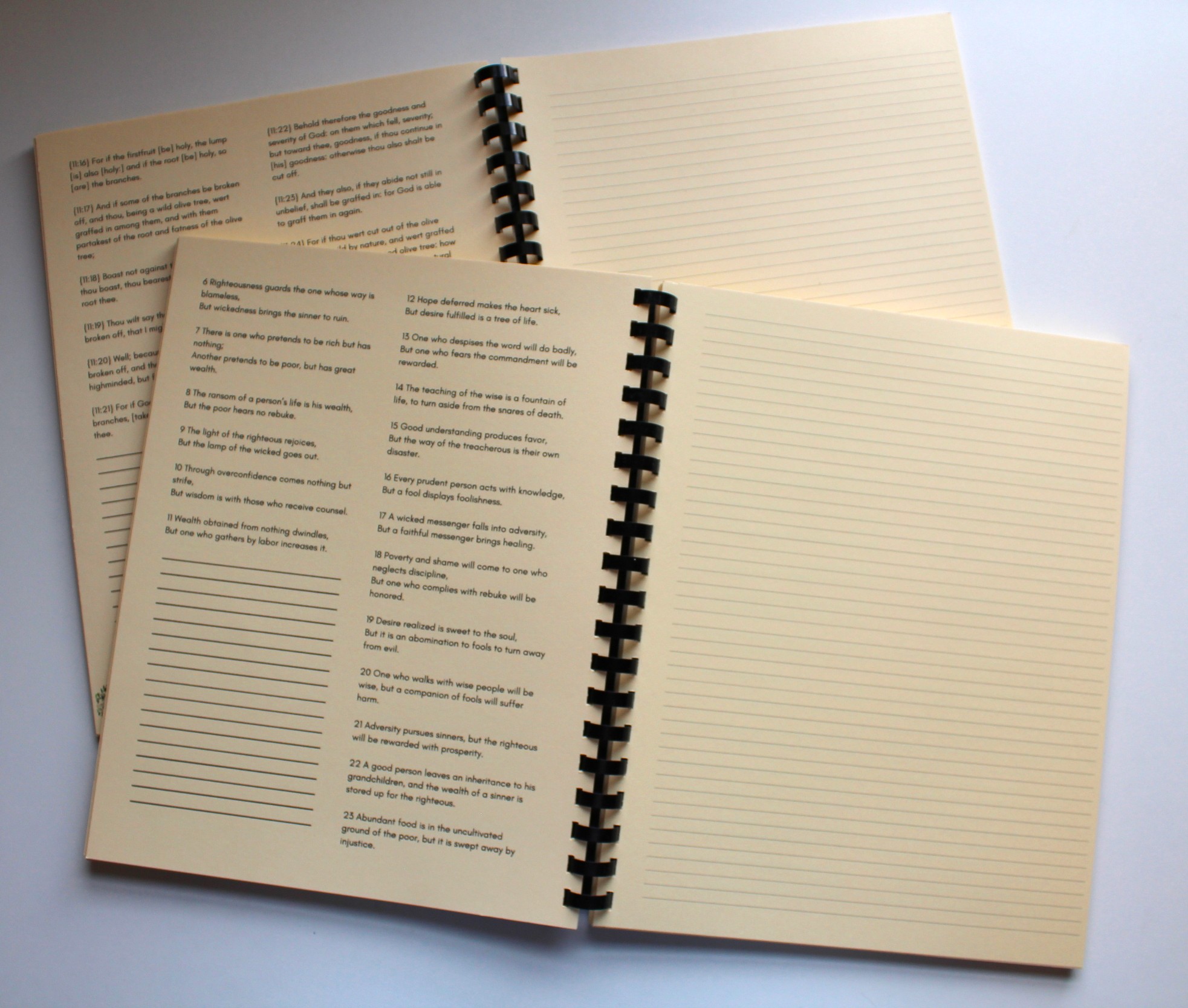 Gospel of John: My Copying Version 