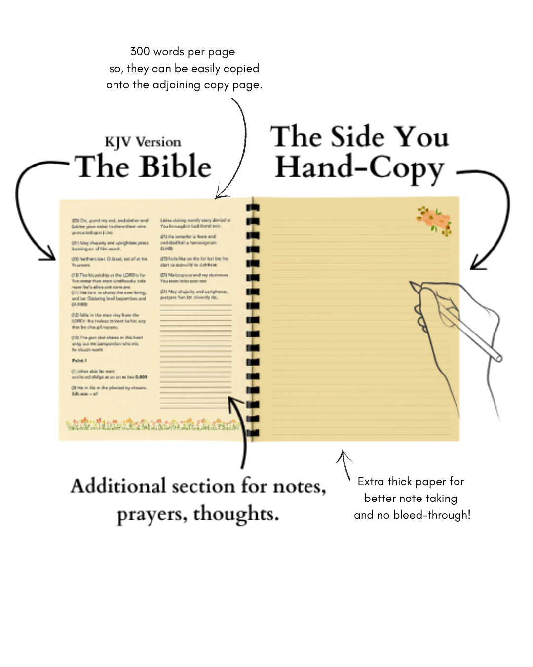 James, Peter, John, & Jude - My Copying Version - NASB