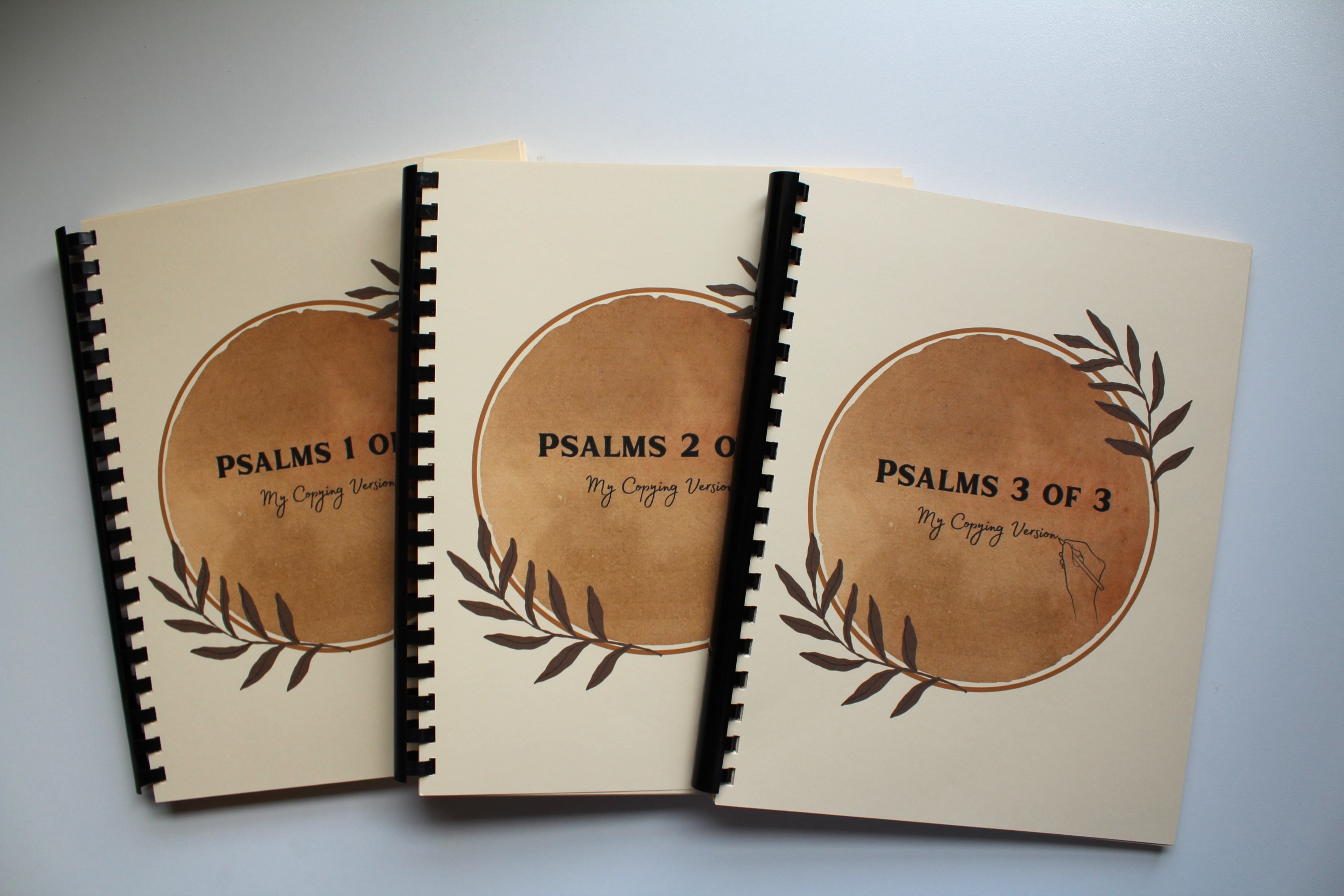 Psalms (3 books) - My Copying Version