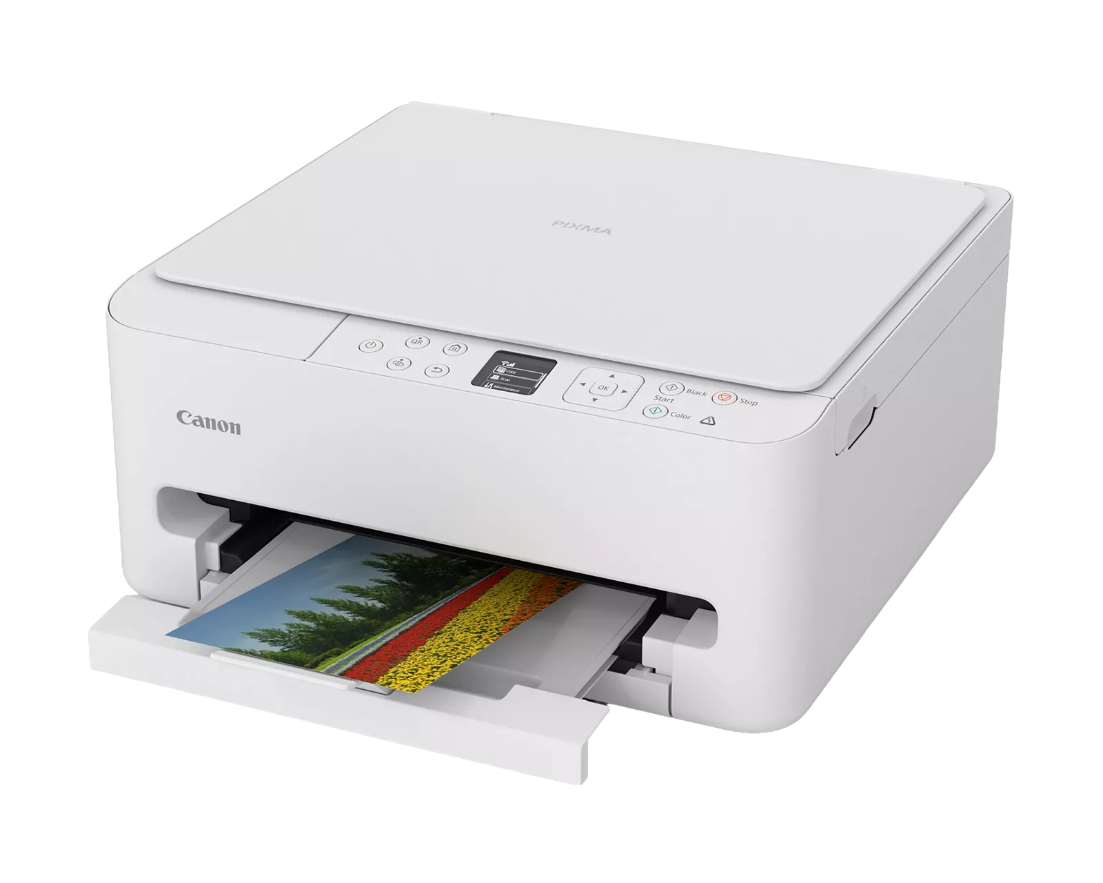 Canon PIXMA TS6520 Wireless Multi-Function Home Printer