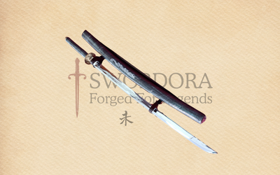 Black Dragon Samurai Wakizashi – Medium Sword