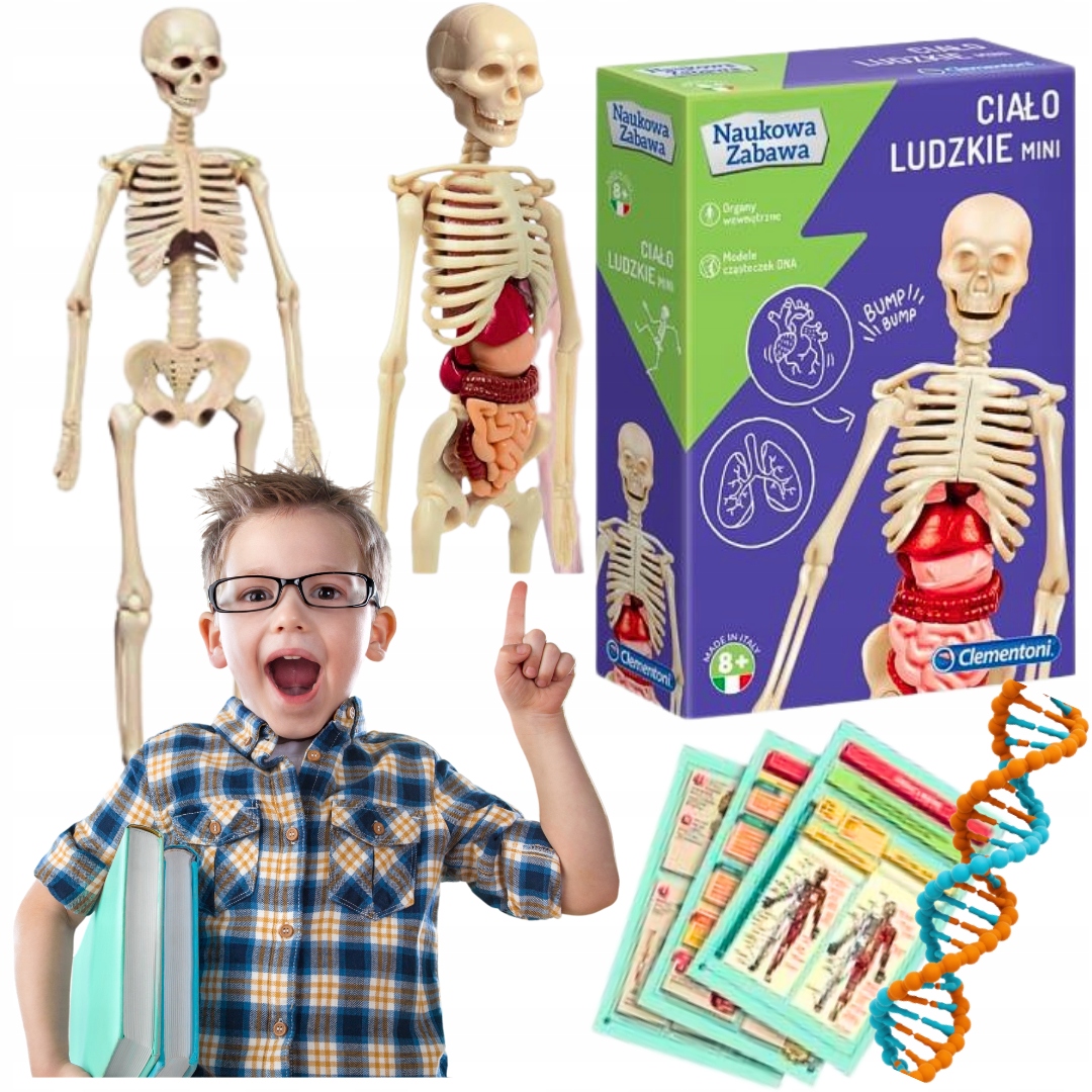 Zestaw edukacyjny 'Ciało Ludzkie Mini'