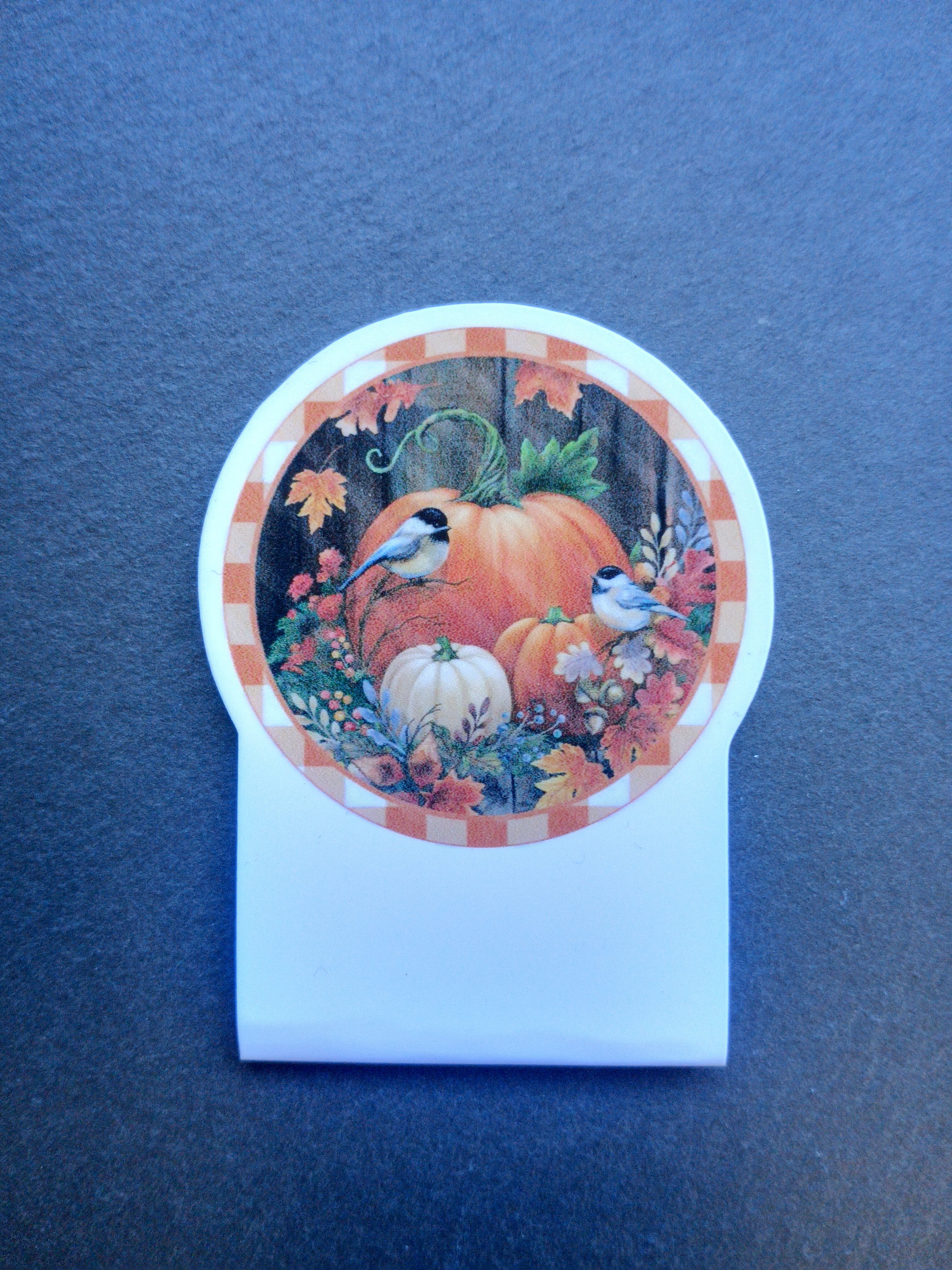 marque page aimanté citrouille d'automne