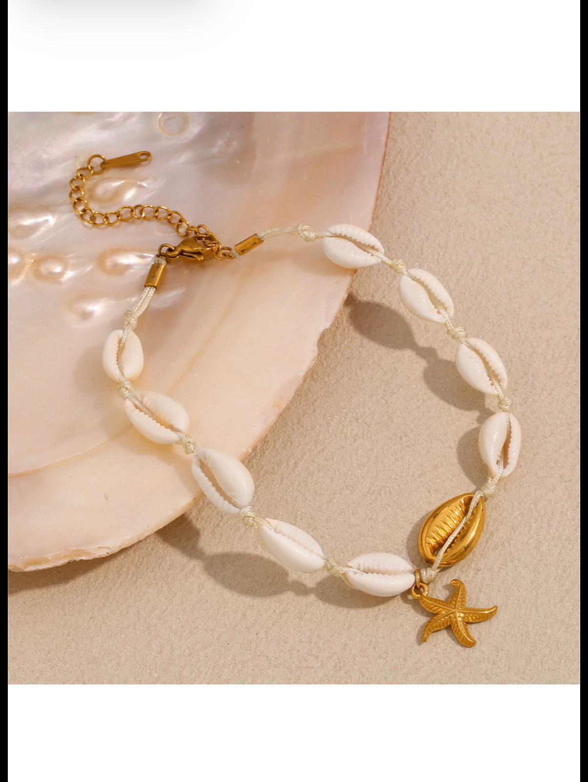 chevillier coquillages