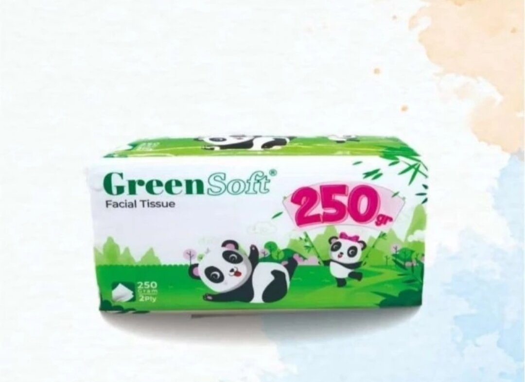 GreenSoft Facial Tissue 250g