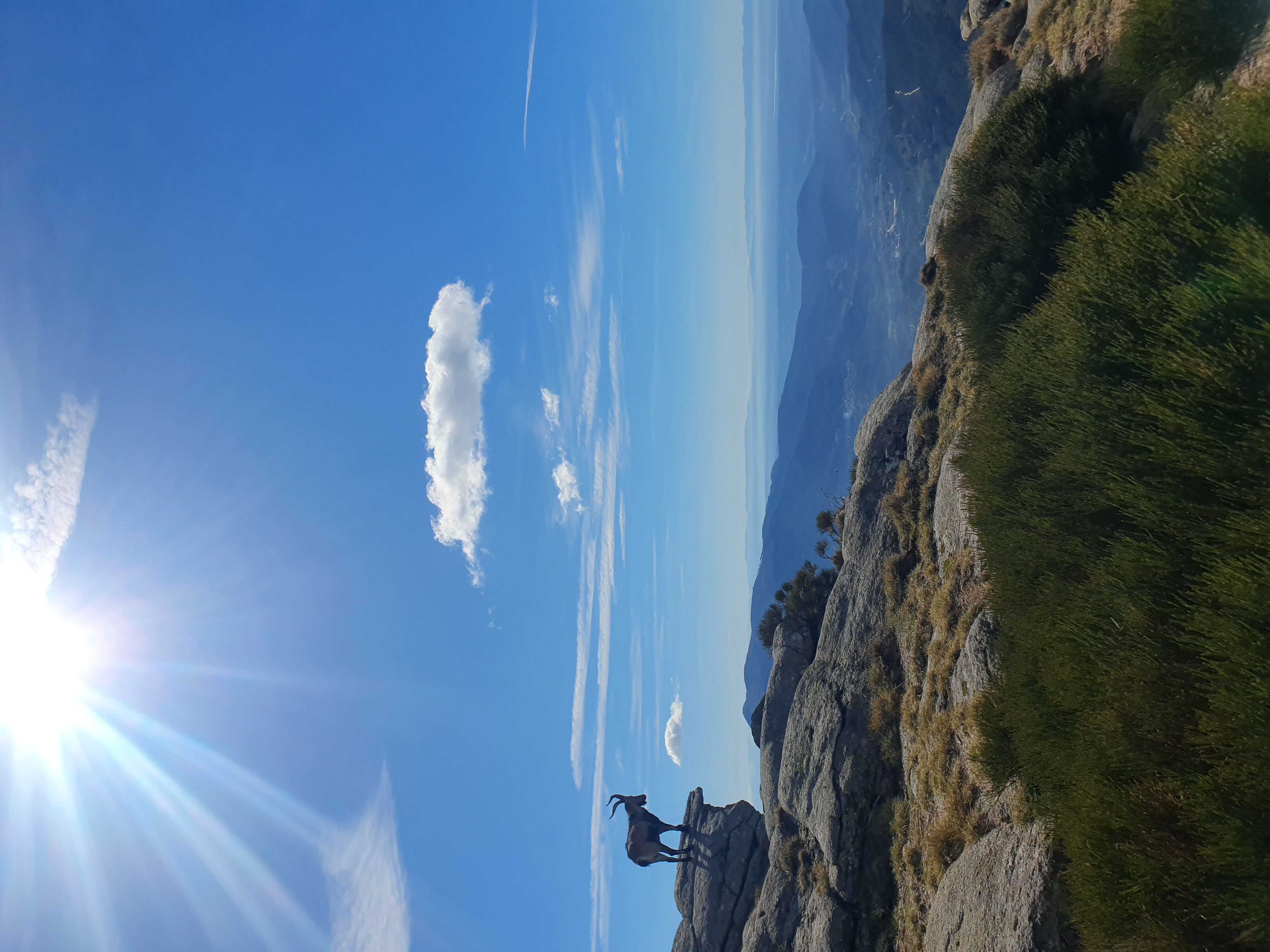 Travesía Gredos y Almanzor 5 días