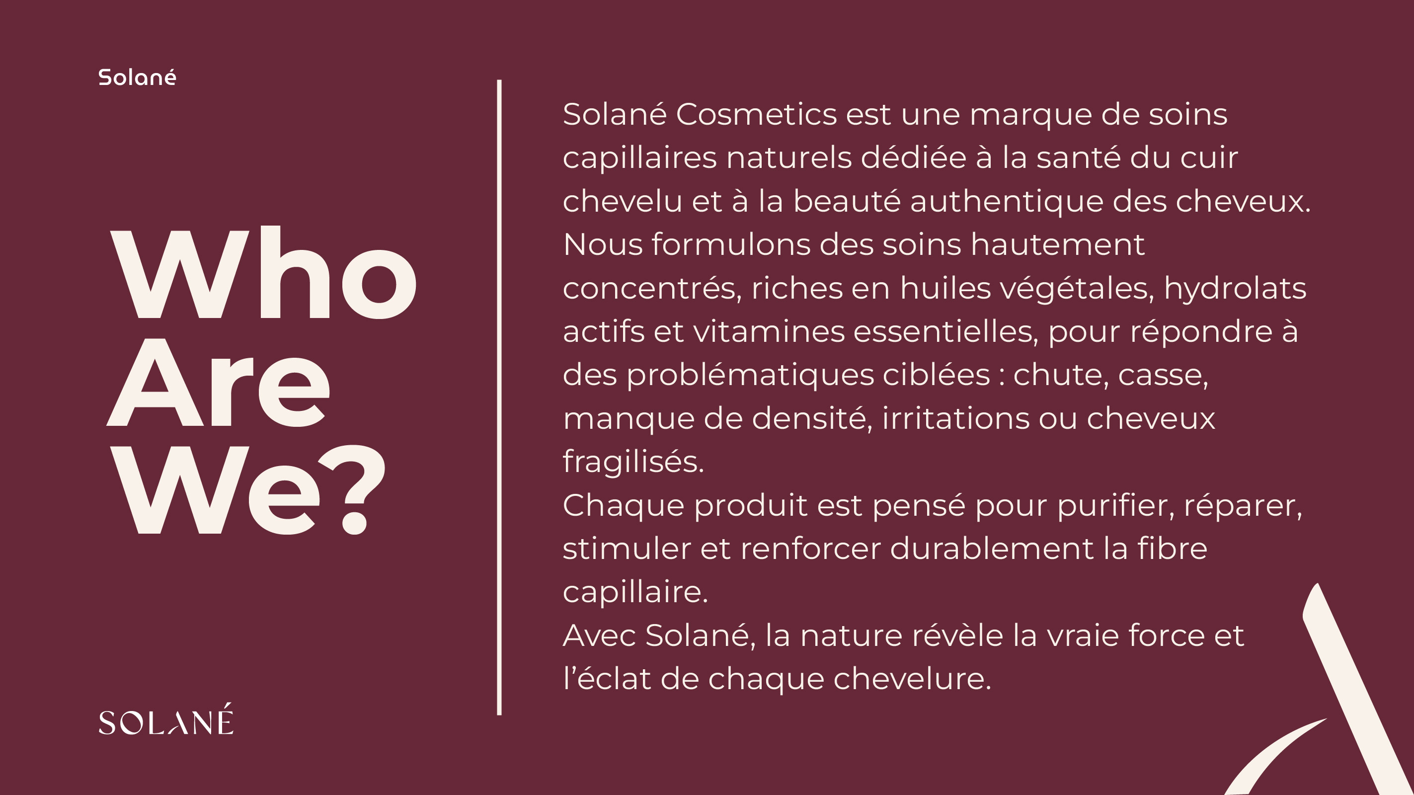 Solané Brand Presentation