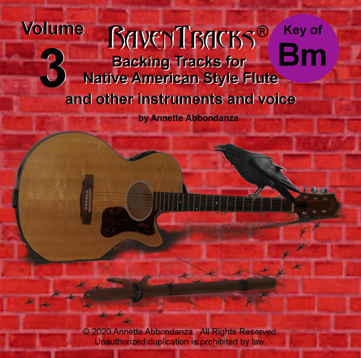 RavenTracks Backing Tracks VOLUME THREE - B minor CD