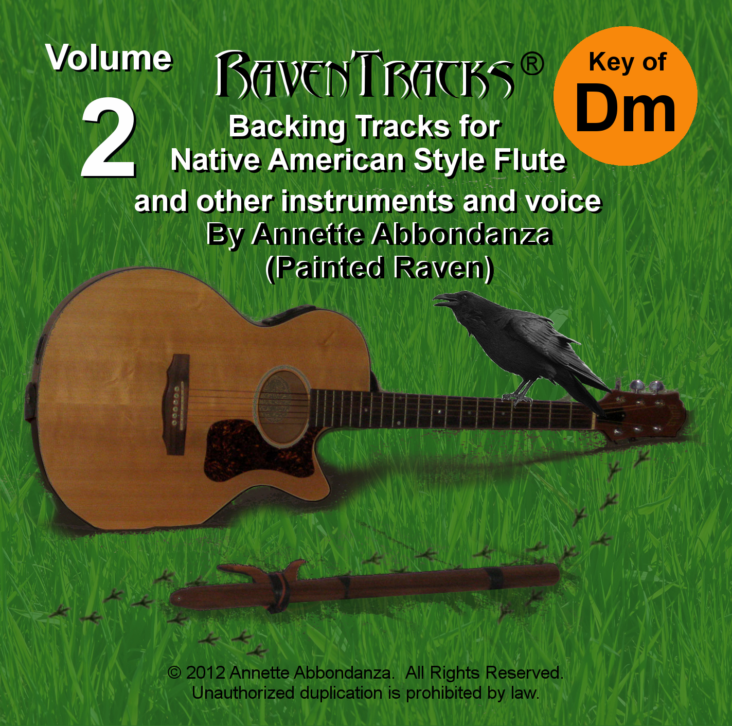 RavenTracks Backing Tracks VOLUME TWO - D minor ALBUM DOWNLOAD