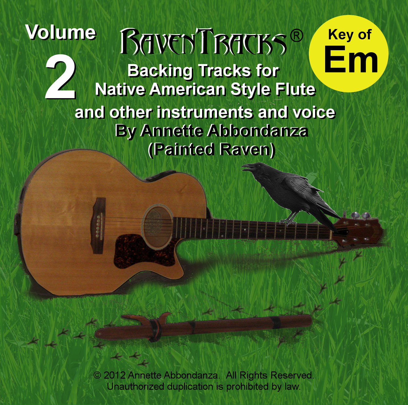 RavenTracks Backing Tracks VOLUME TWO - E minor ALBUM DOWNLOAD
