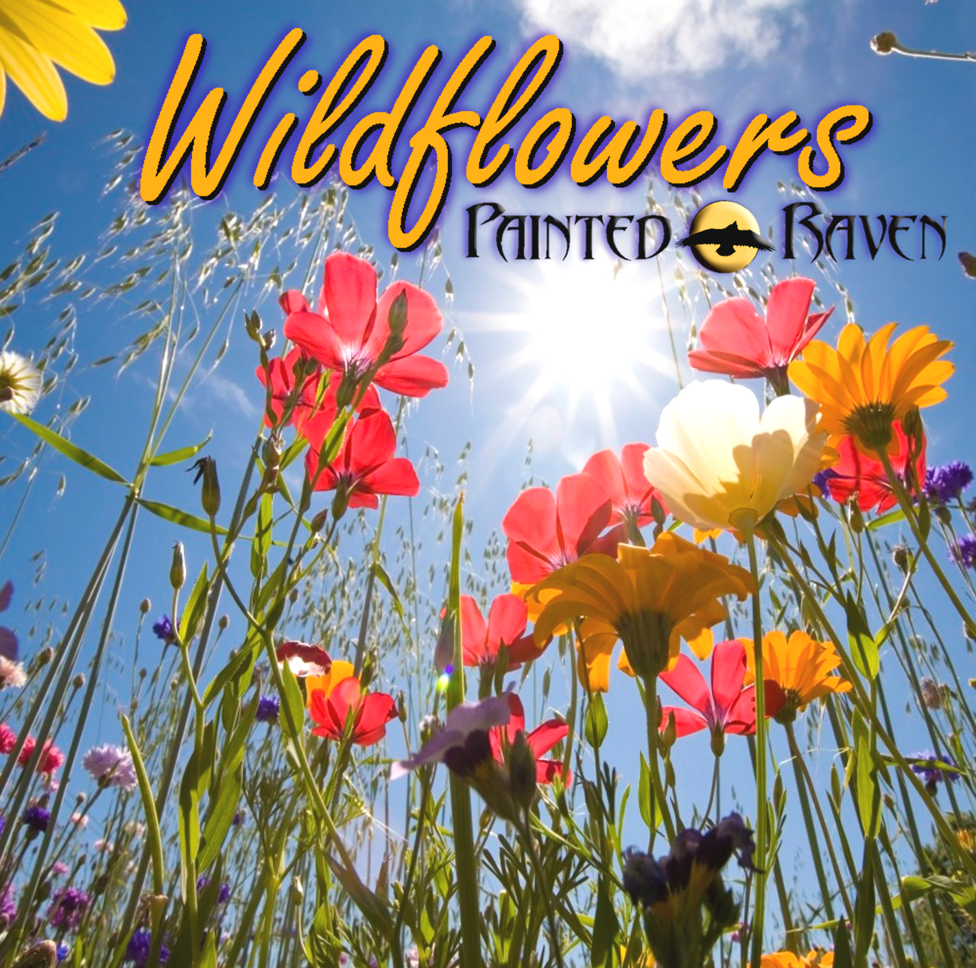 Wildflowers by Painted Raven ALBUM DOWNLOAD