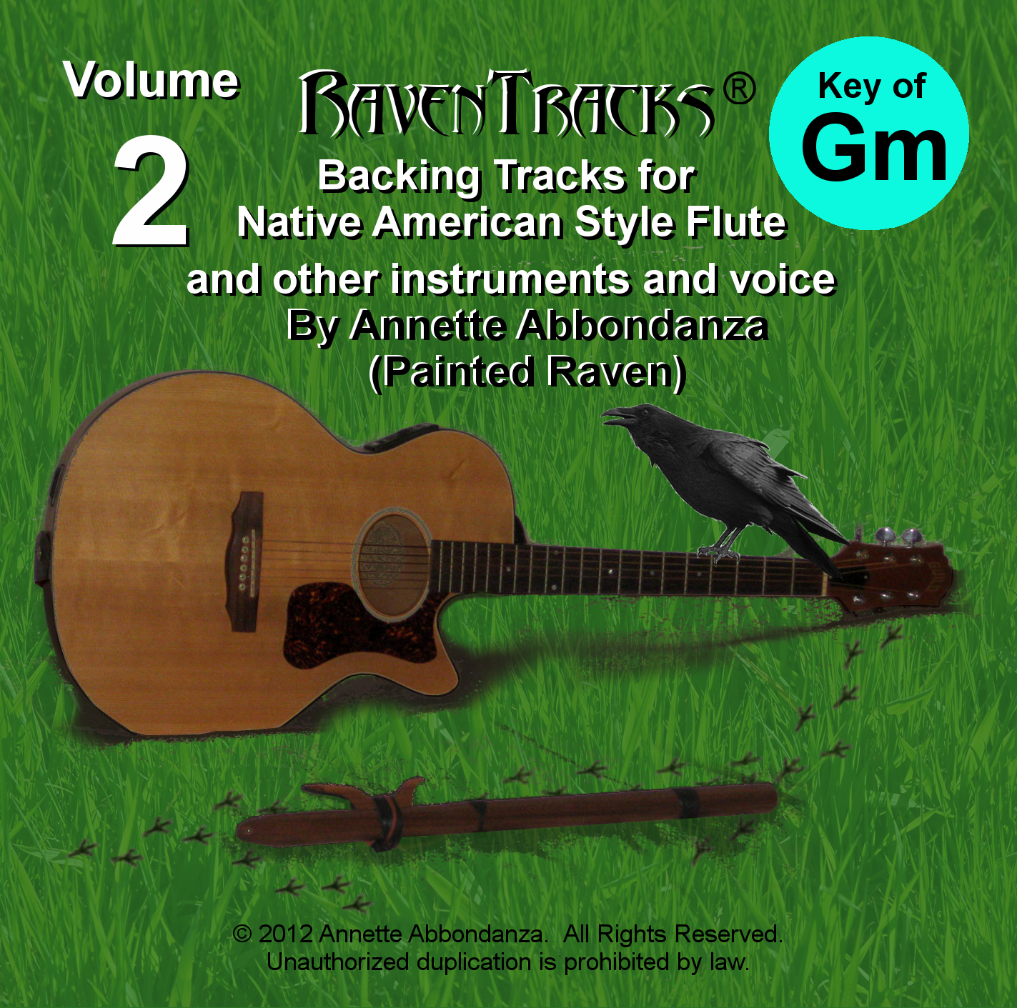 RavenTracks Backing Tracks VOLUME TWO - G minor CD