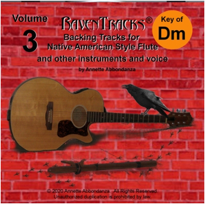 RavenTracks Backing Tracks VOLUME THREE - D minor ALBUM DOWNLOAD