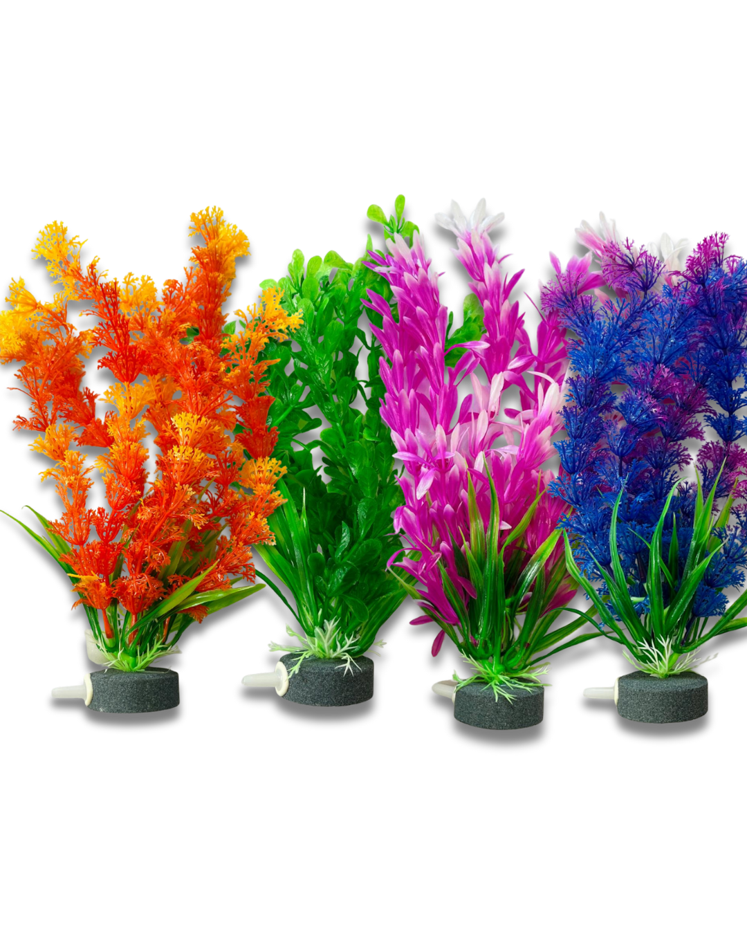 PLANTA 24 CM X 1 UNIDAD CON PIEDRA POROSA