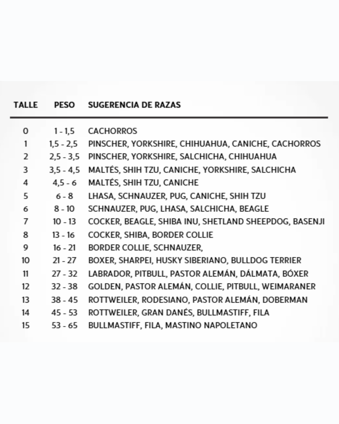 PROTECTOR DE EXTREMIDADES POSTERIORES PERRO