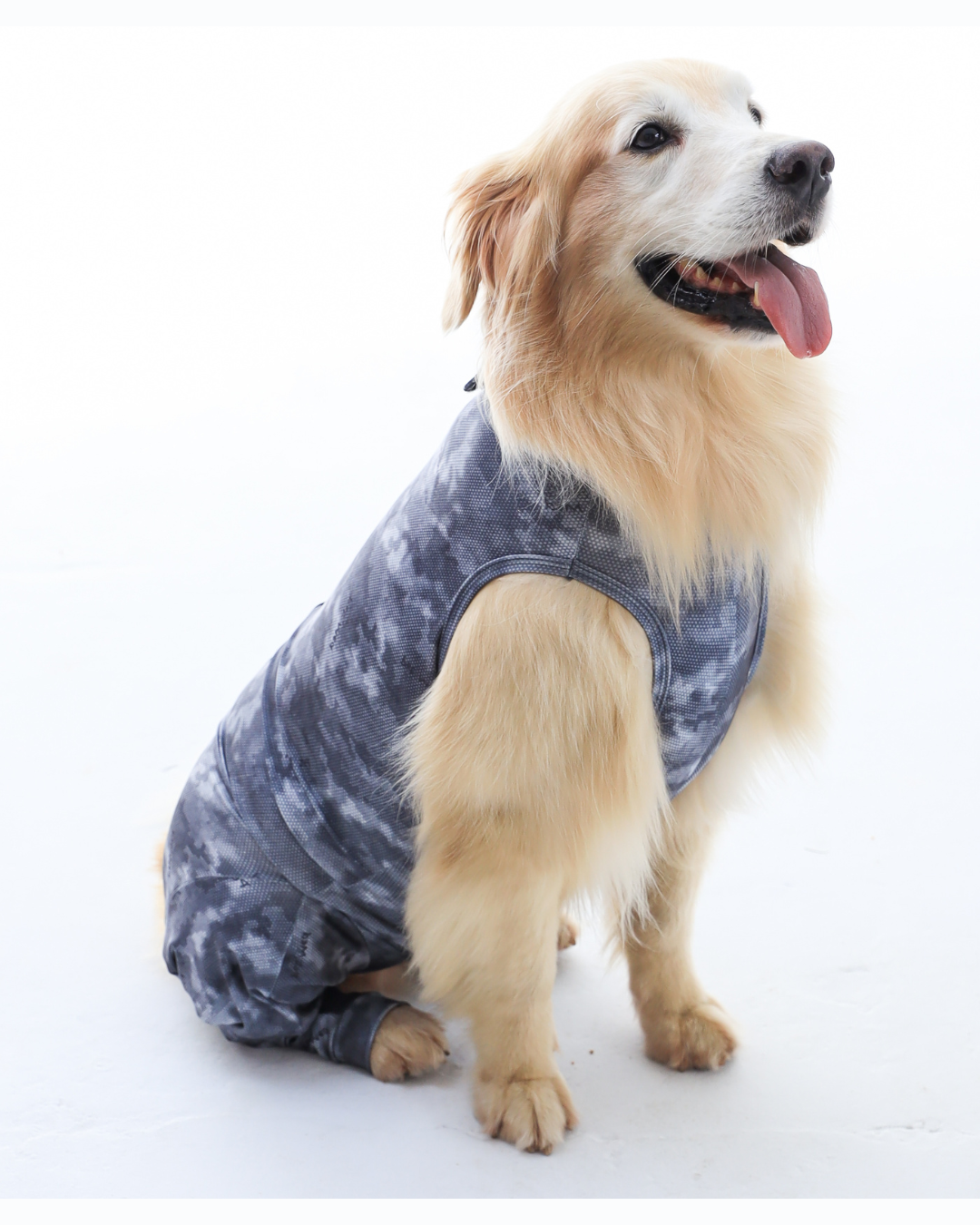 PROTECTOR DE EXTREMIDADES POSTERIORES PERRO