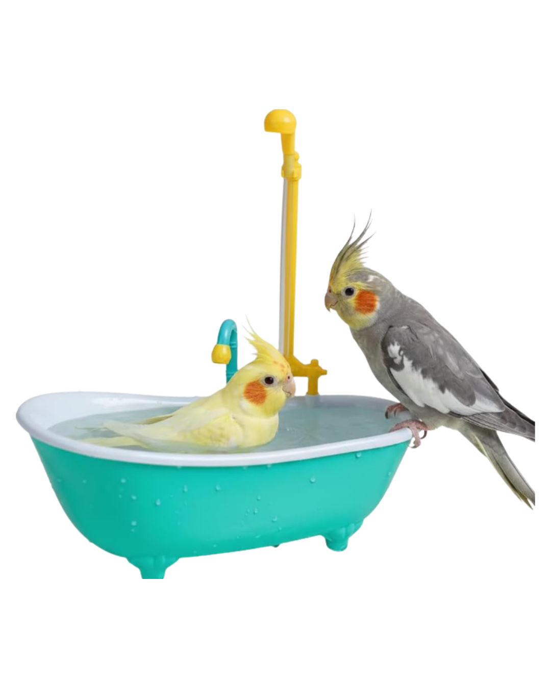BAÑERA PARA AVES CON LLUVIERO
