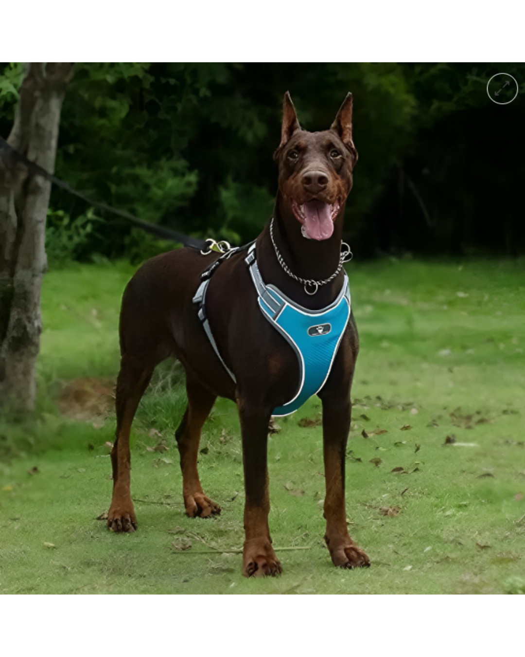 Arnes Reflex Resistentes 