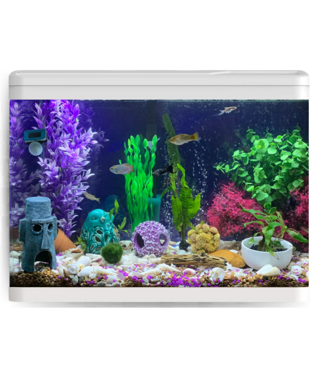 ACUARIO C/TAPA, FILTRO E ILUMINACION LED