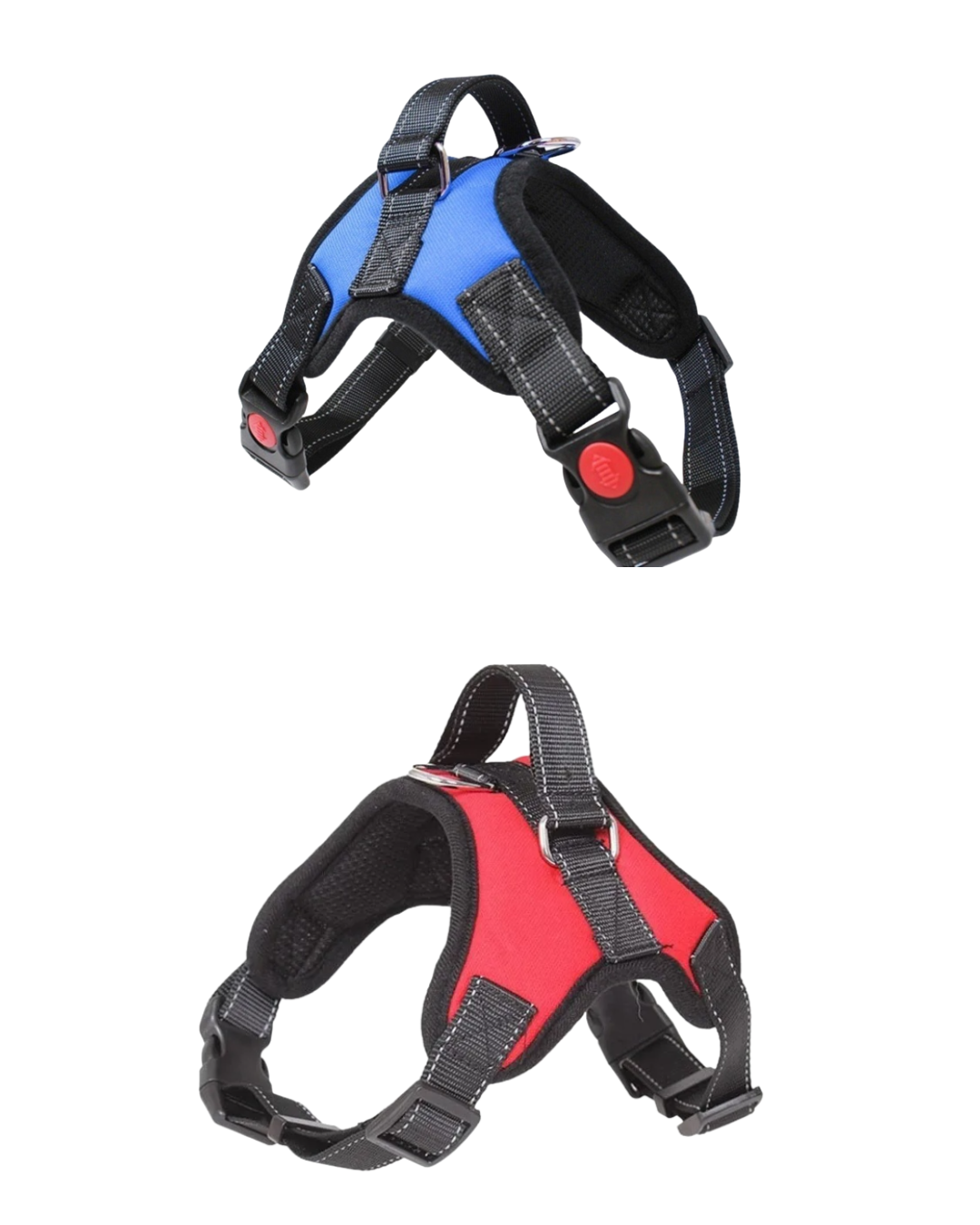 Arnes reforzado acolchonado 